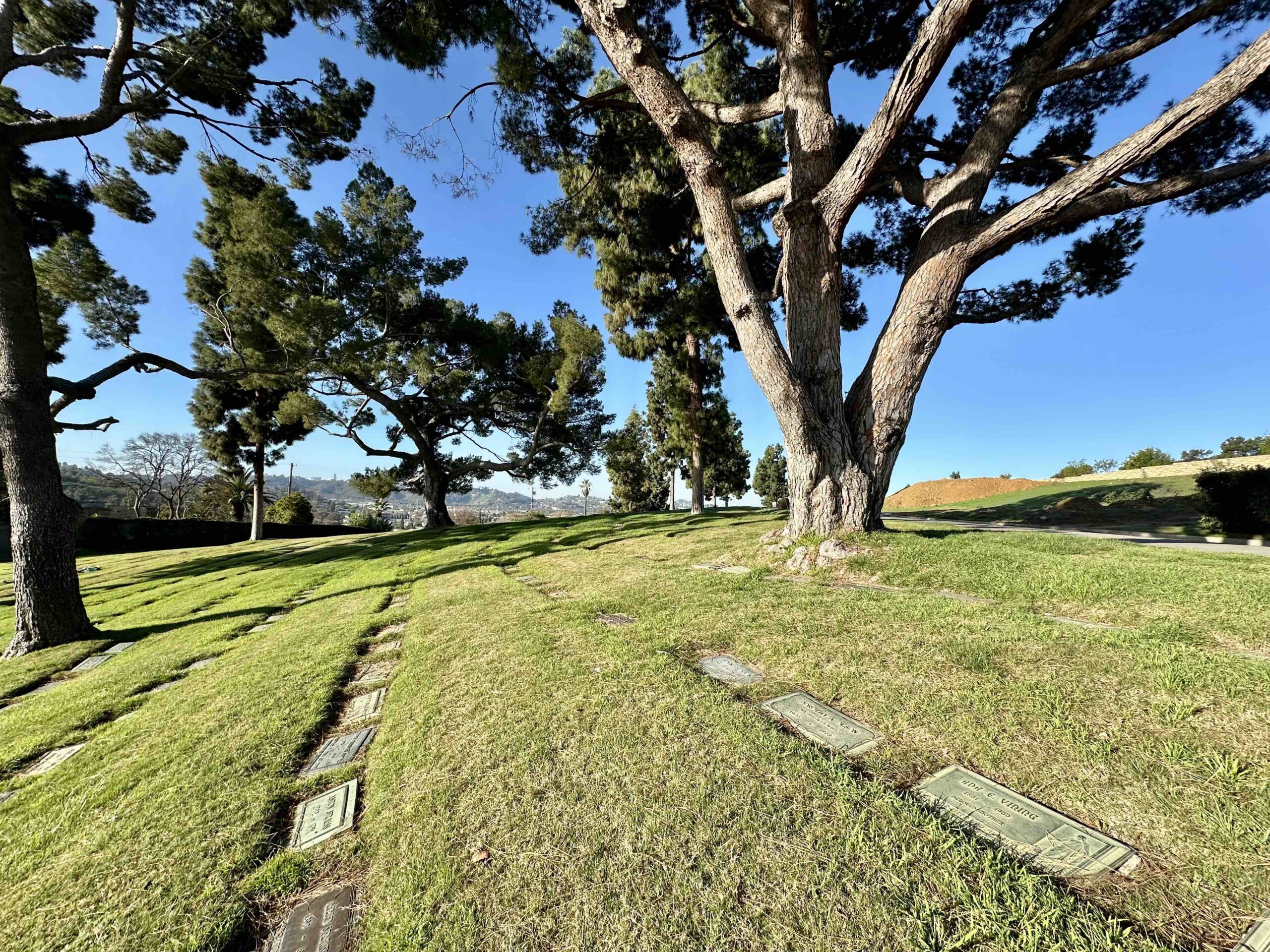 Grave Space in Fidelity