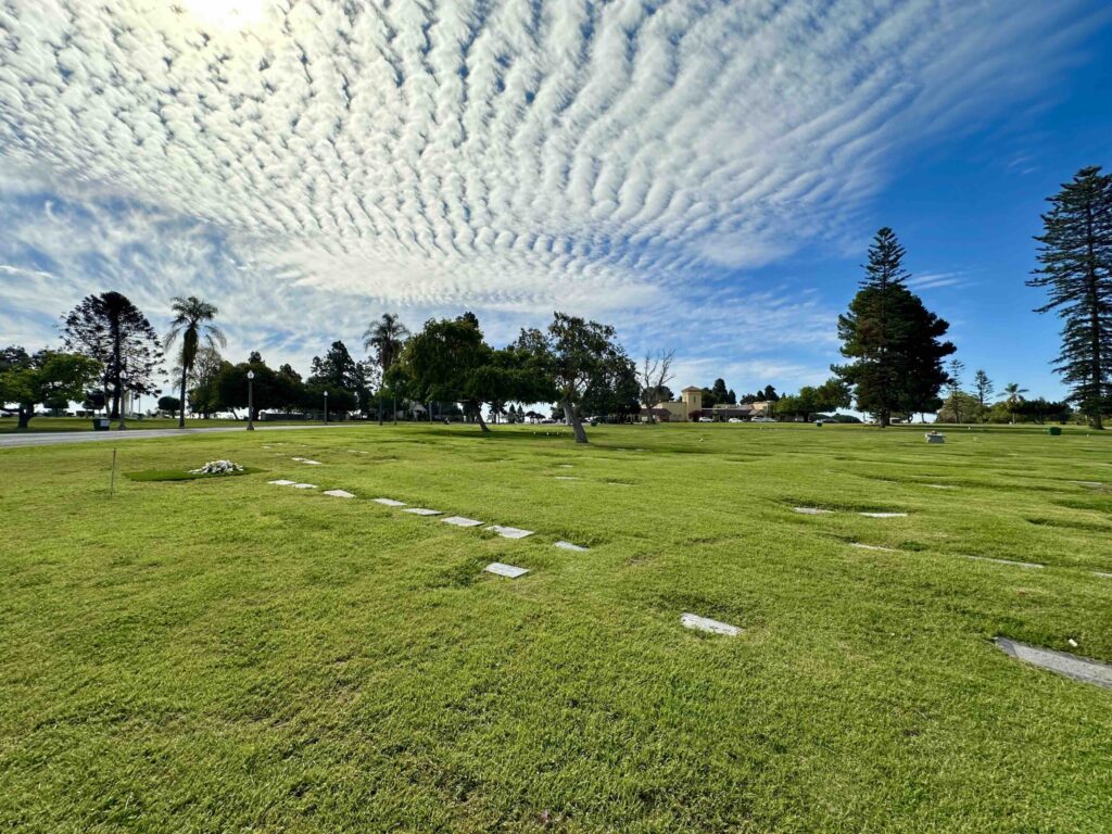 Bayer Cemetery Brokers Greenwood Memorial Park Evergreen