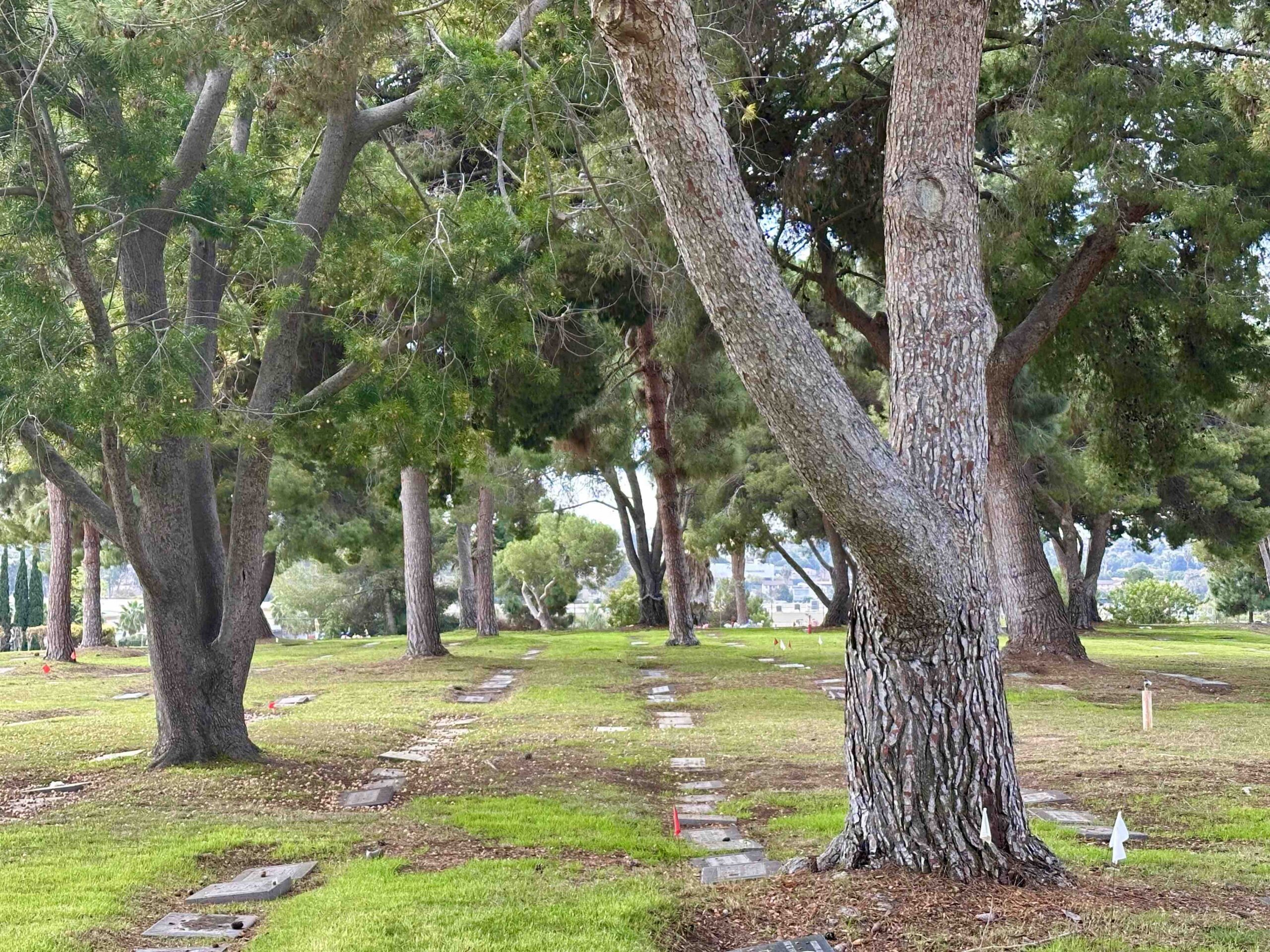 Grave space in Restlawn