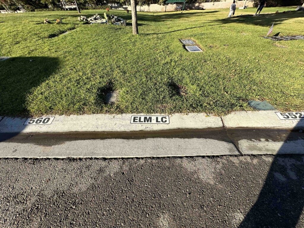 Bayer Cemetery Brokers Mountain View San Bernadino Cemetery Elm