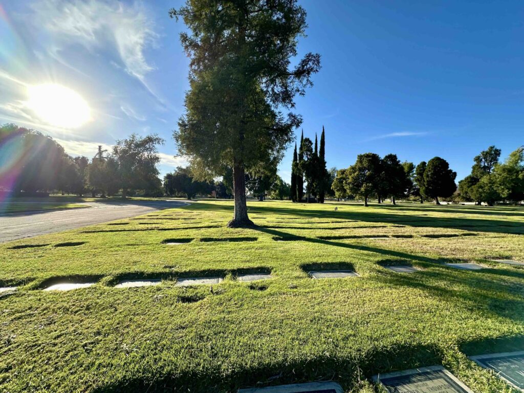 Bayer Cemetery Brokers Mountain View San Bernadino Cemetery Iris