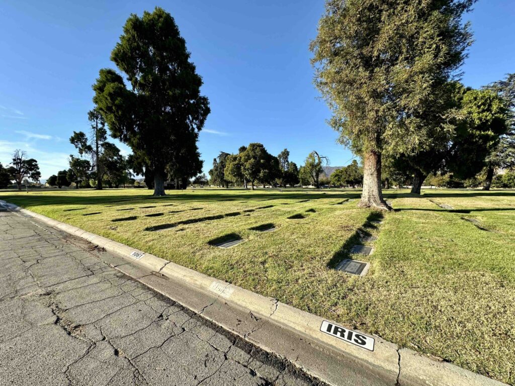 Bayer Cemetery Brokers Mountain View San Bernadino Cemetery Iris