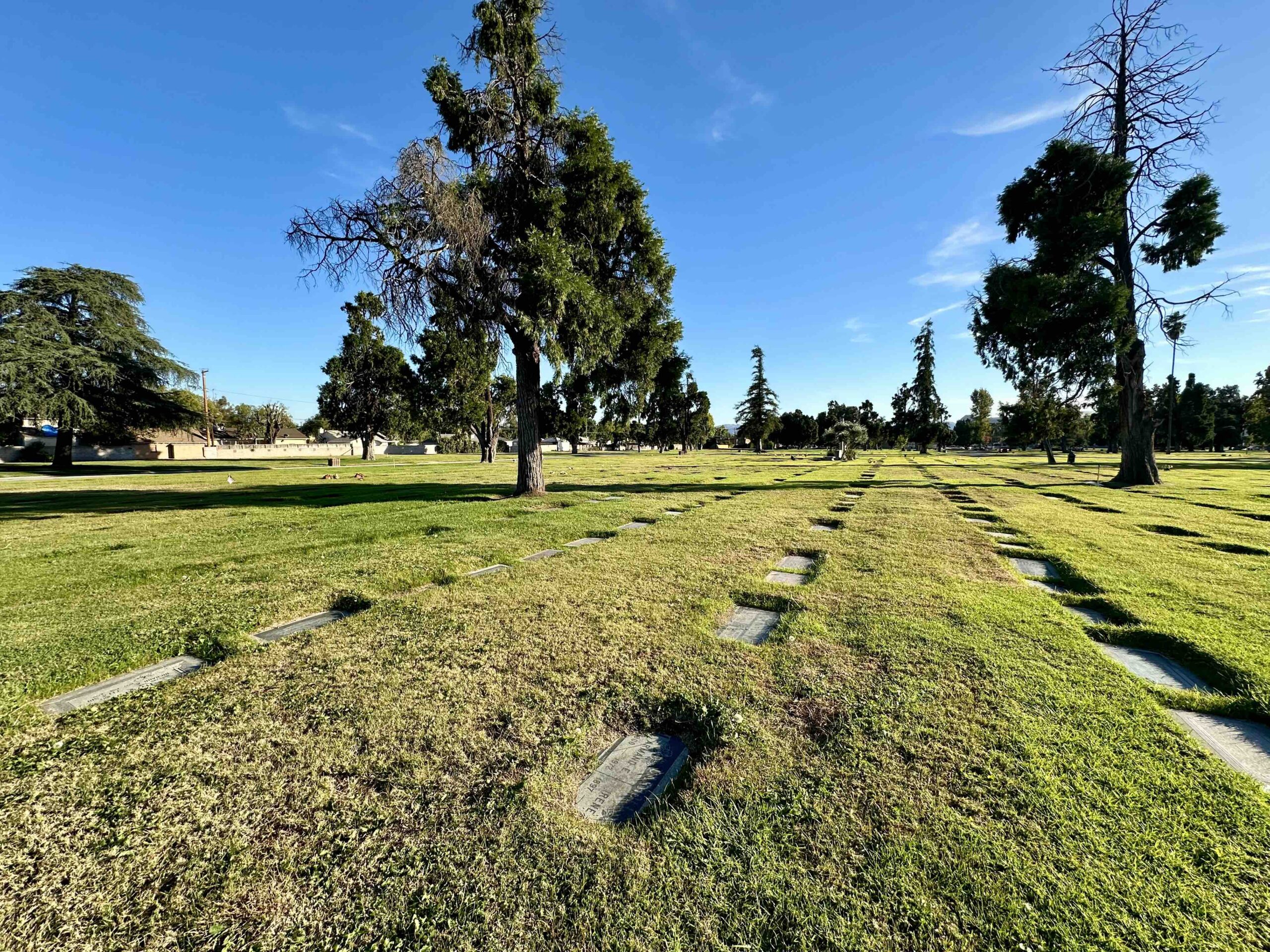 Five grave spaces in Rose Lawn