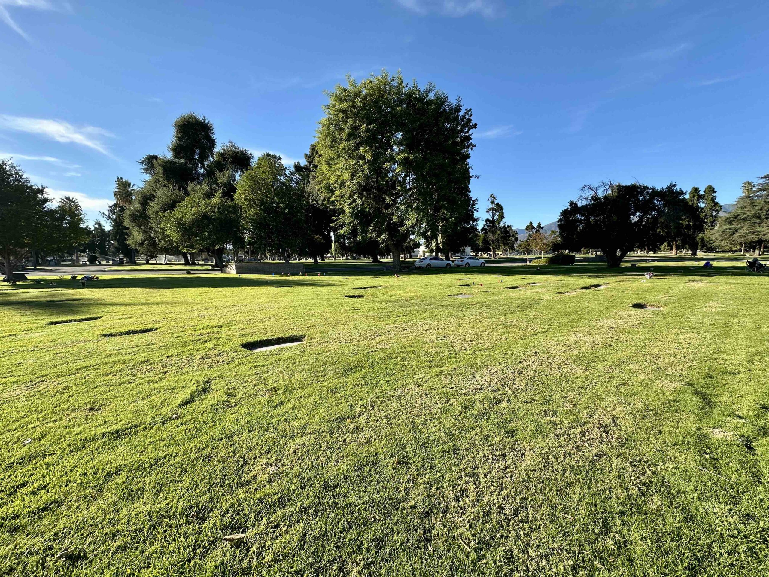 Grave space in T Lawn