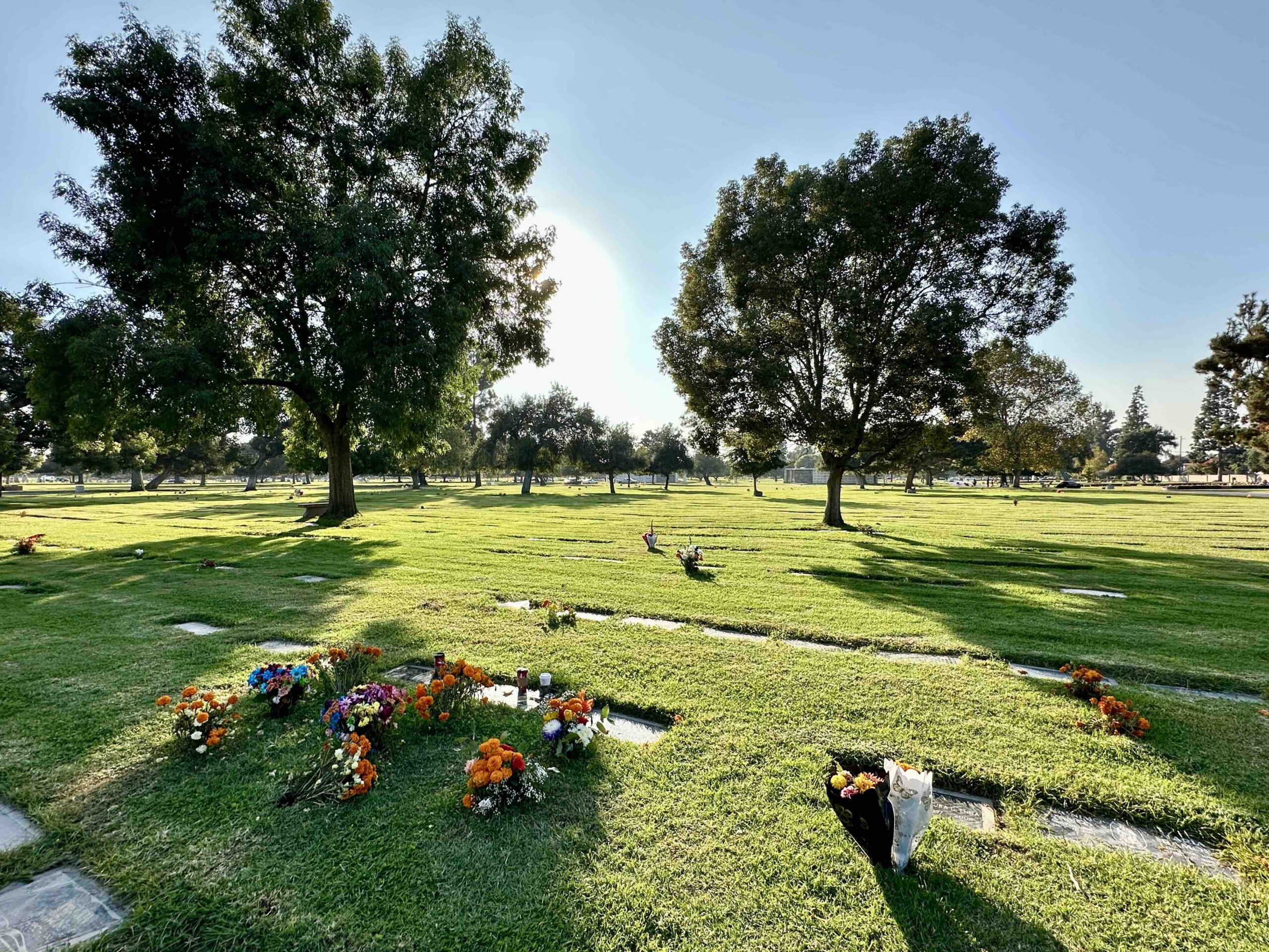 Grave space in Maple Lawn