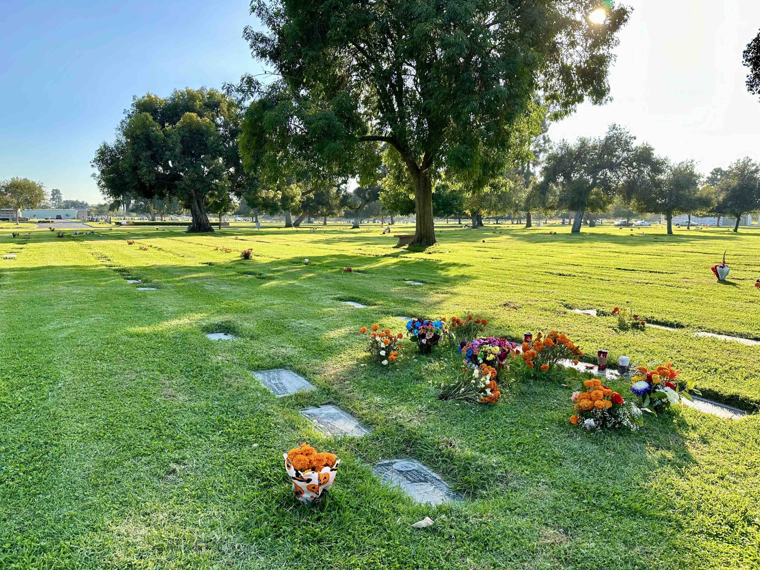 Grave space in Maple Lawn