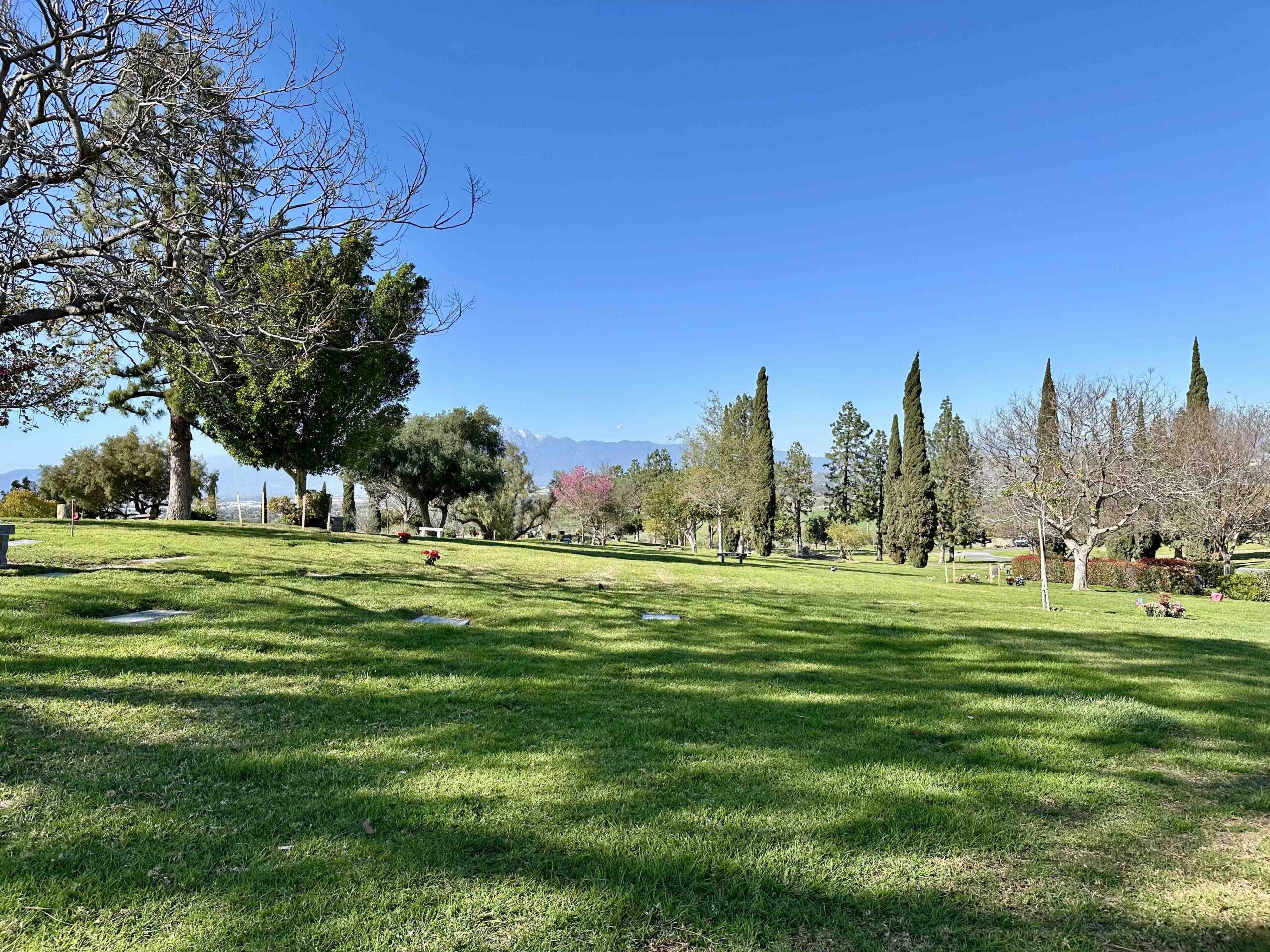 Two grave spaces in Elks Garden
