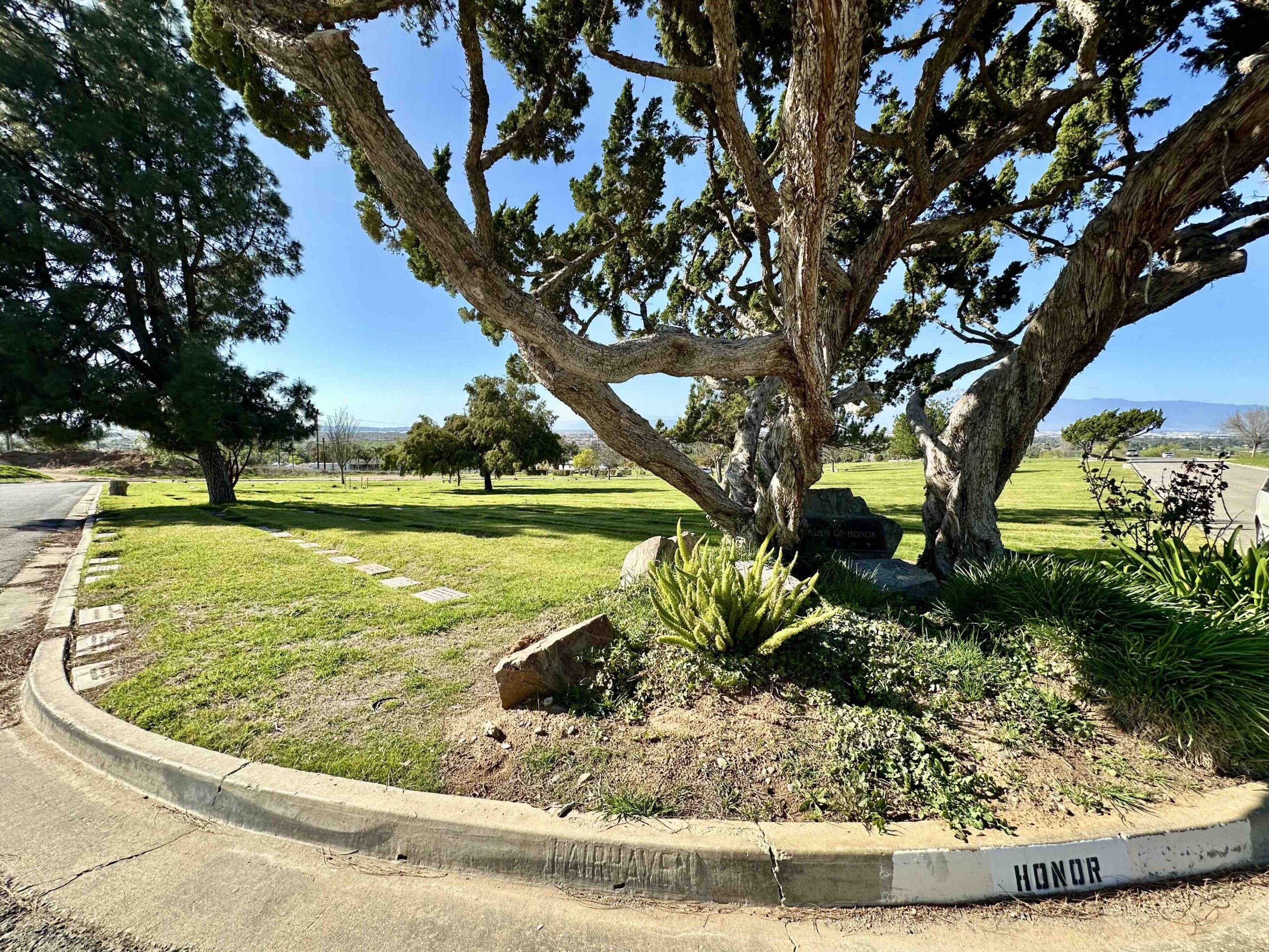 Two grave spaces in Honor
