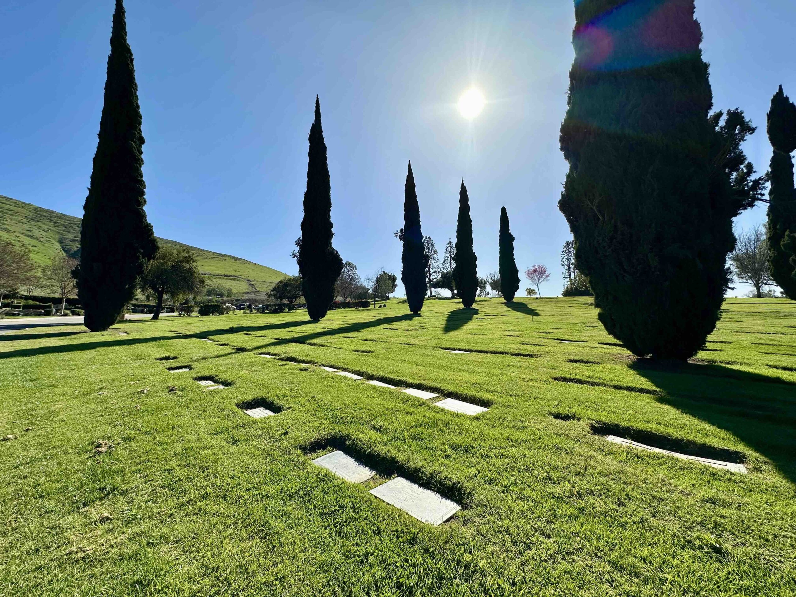 Grave space in Masonic Garden