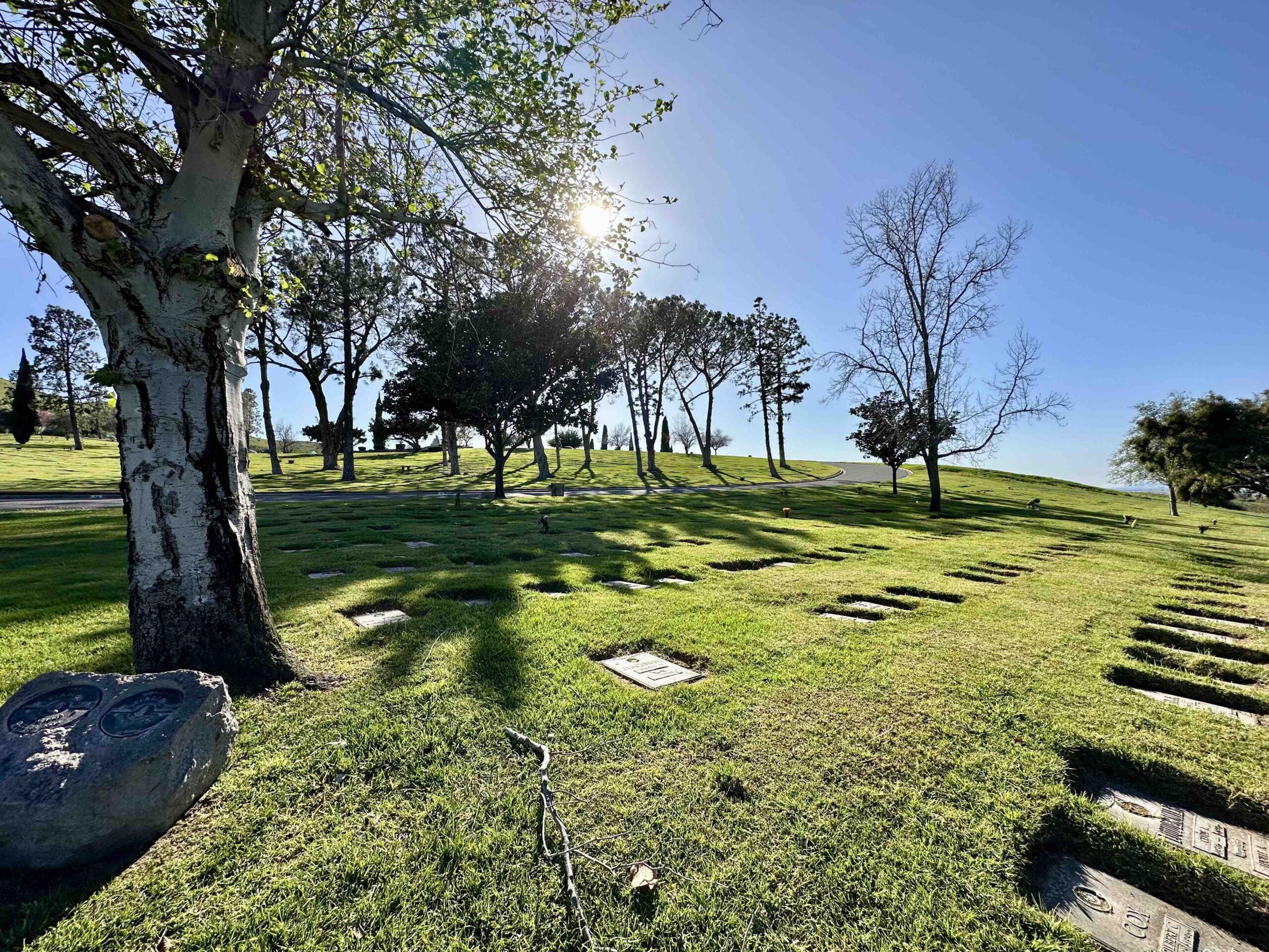 Double depth lawn crypt in Garden of Matthew