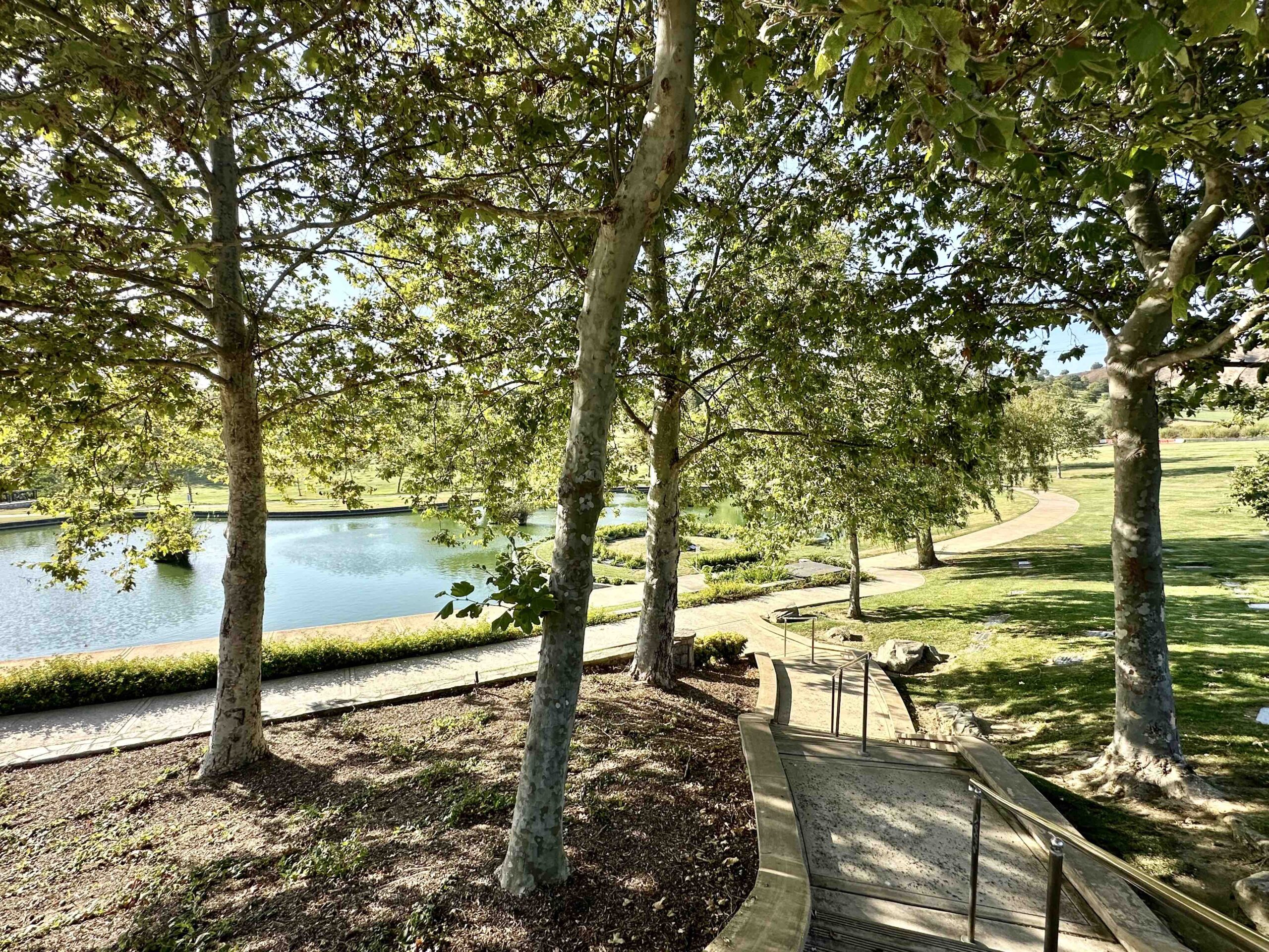 View from the top of a pathway descending towards Sycamore Lake in Rose Hills Memorial Park, framed by beautiful trees and a well-kept lawn - Bayer Cemetery Brokers