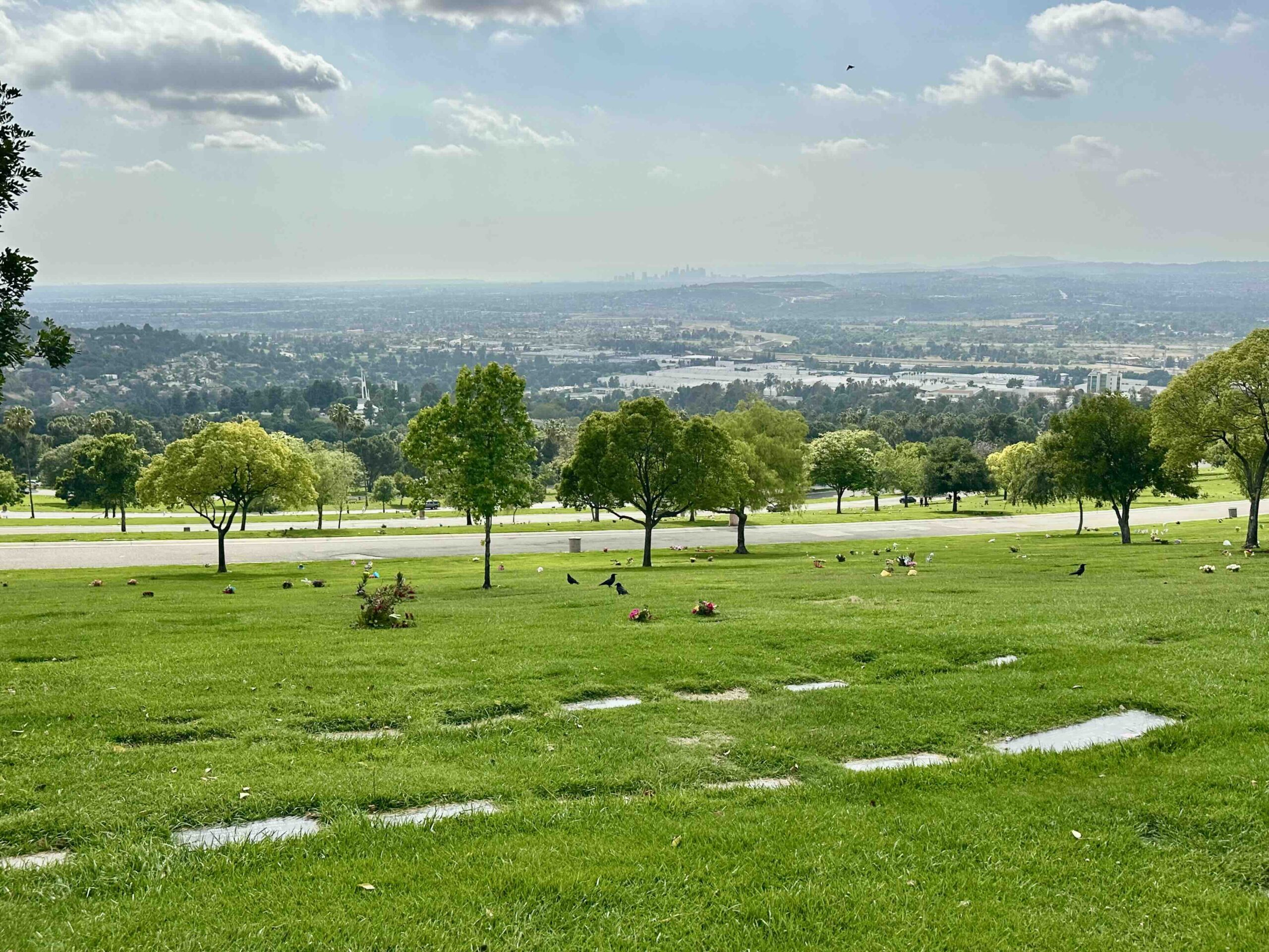 Four grave spaces together in Alpine Terrace