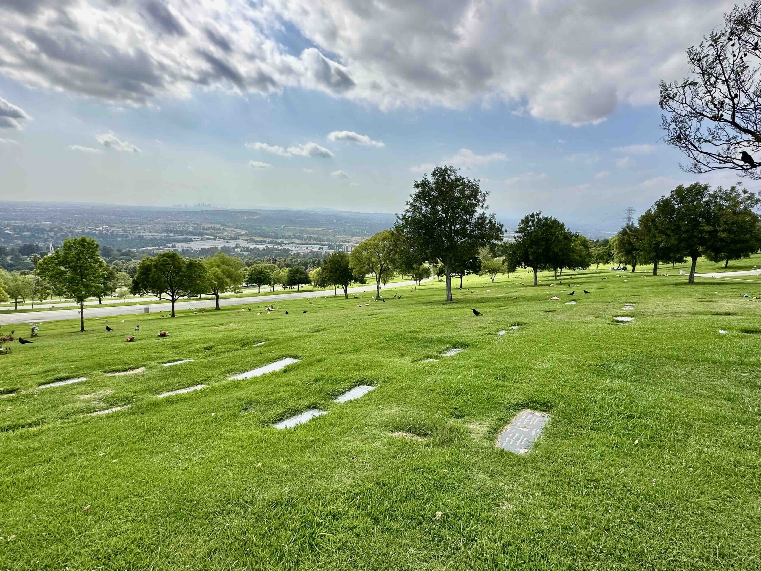 Grave space in Alpine Terrace