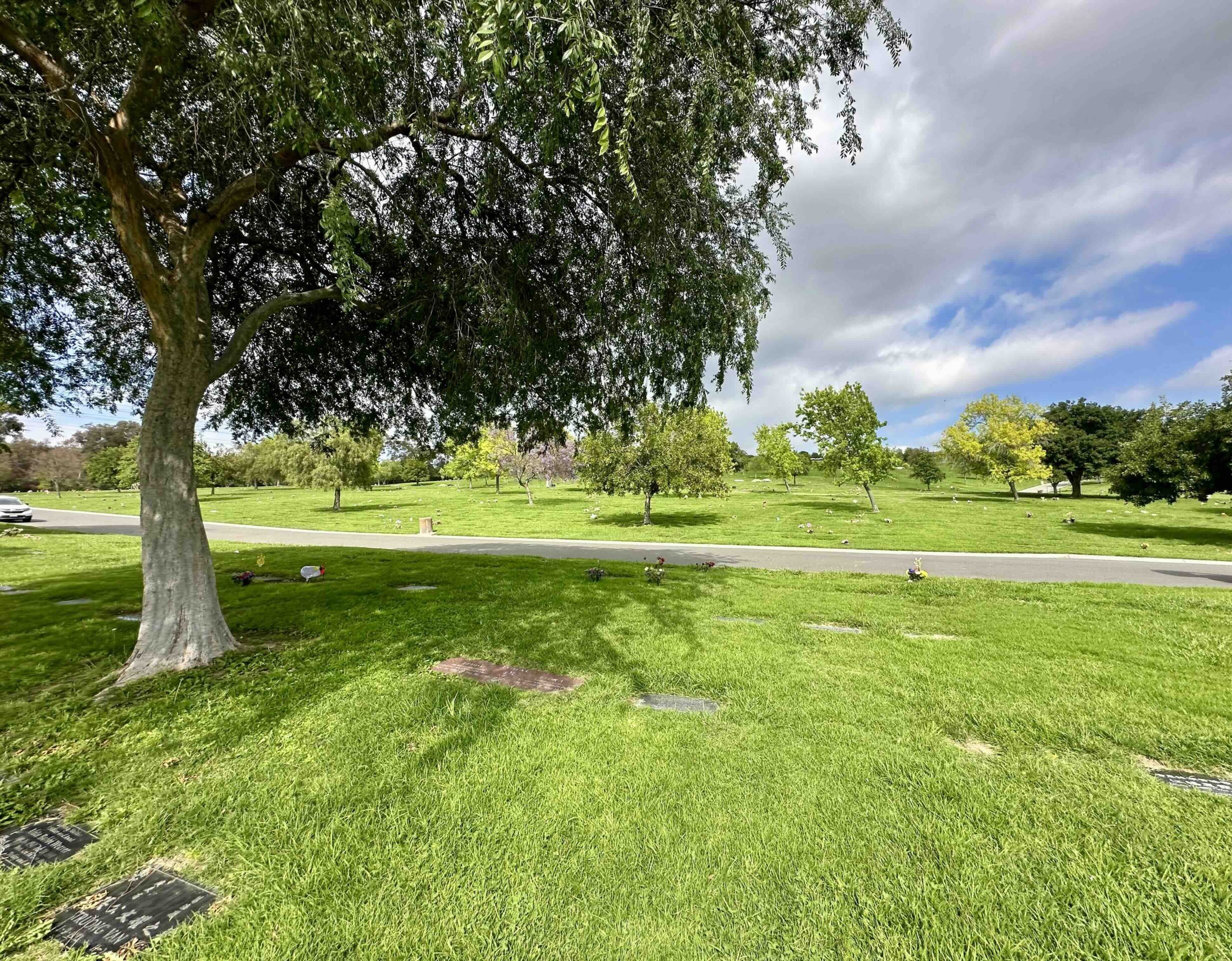 Three grave spaces together in Carnation