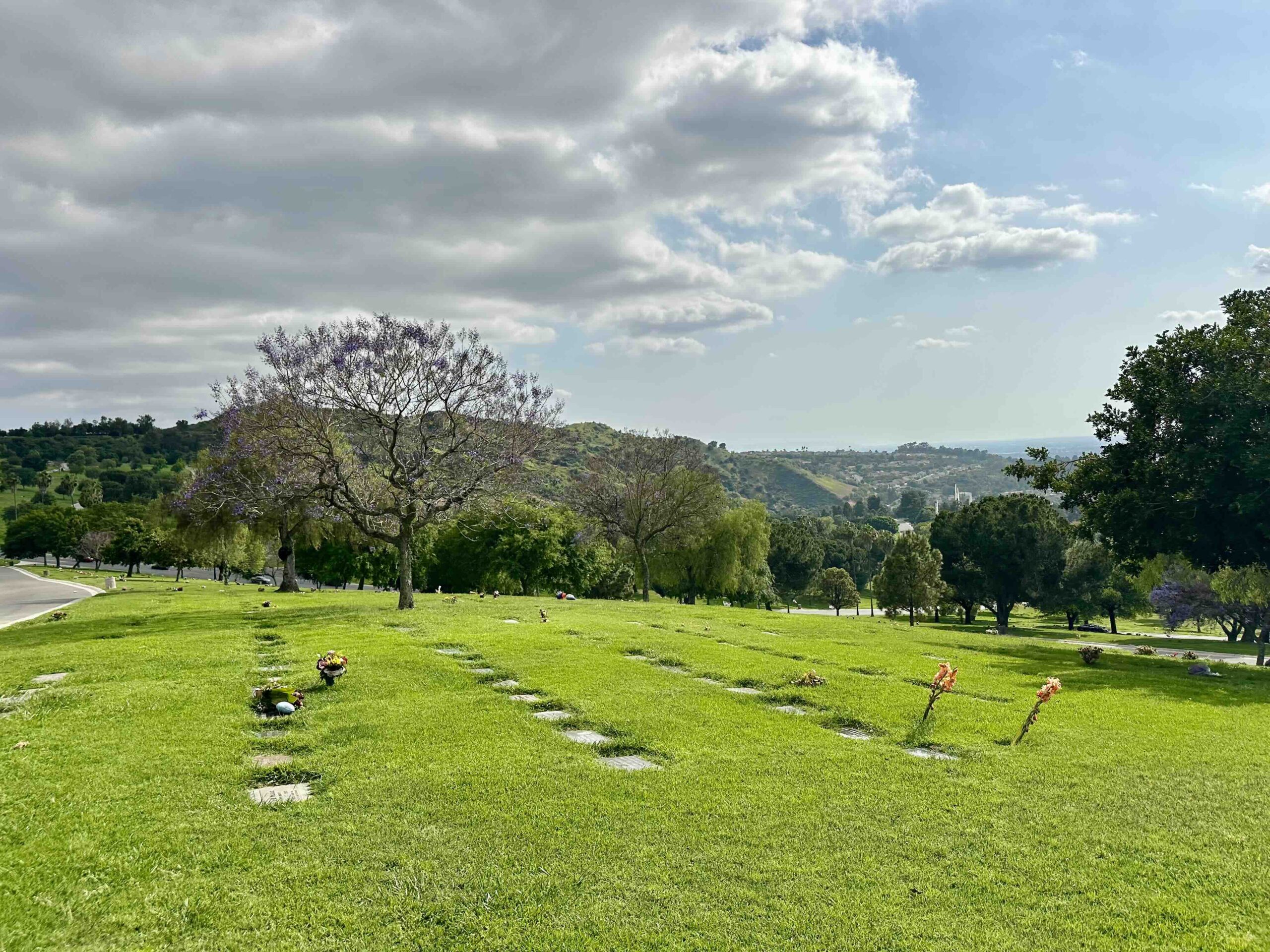 Two grave spaces together in Carnation