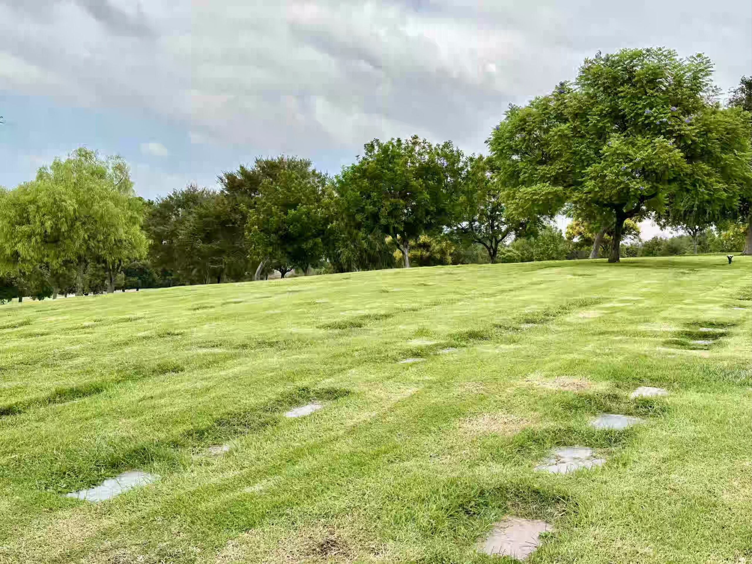 Two grave spaces together in Carnation