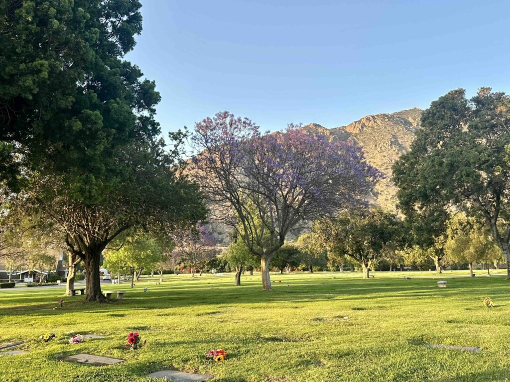 Conejo Mountain Memorial Park Camarillo Santa Cruz 2 Section Bayer Cemetery Brokers