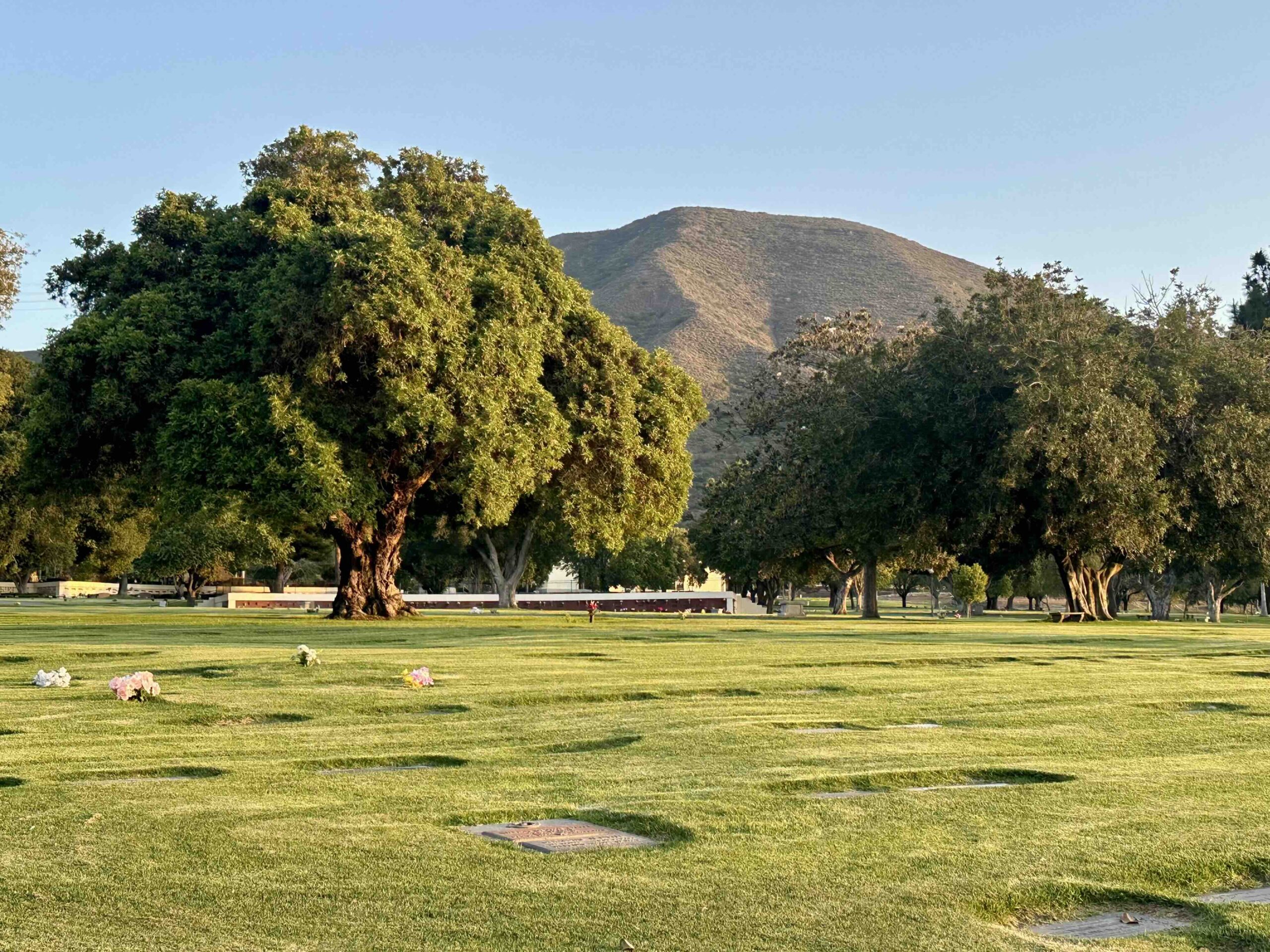 Two grave spaces in Santa Cruz I