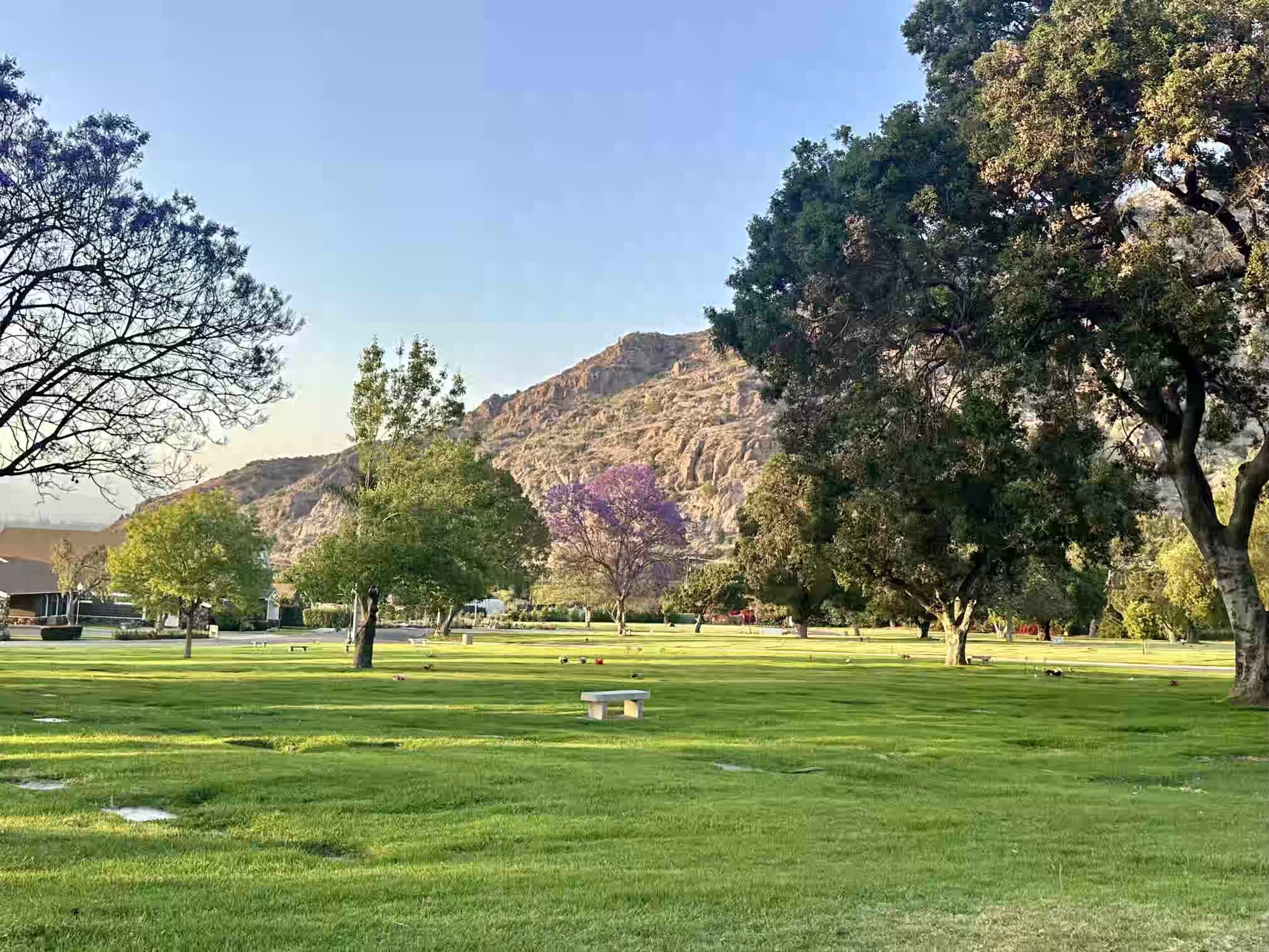 Grave space in Santa Cruz II
