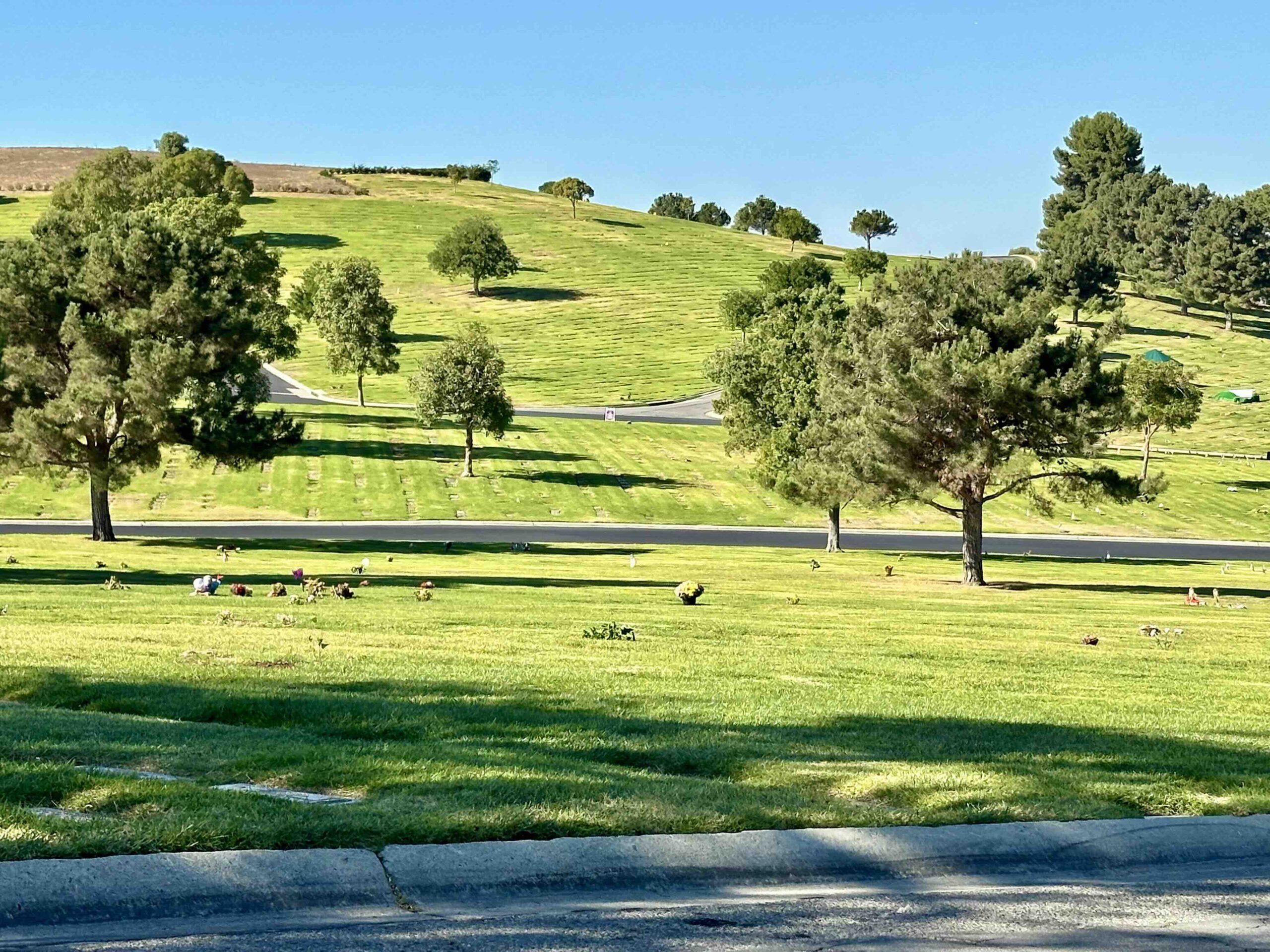 Grave space in Abiding Trust