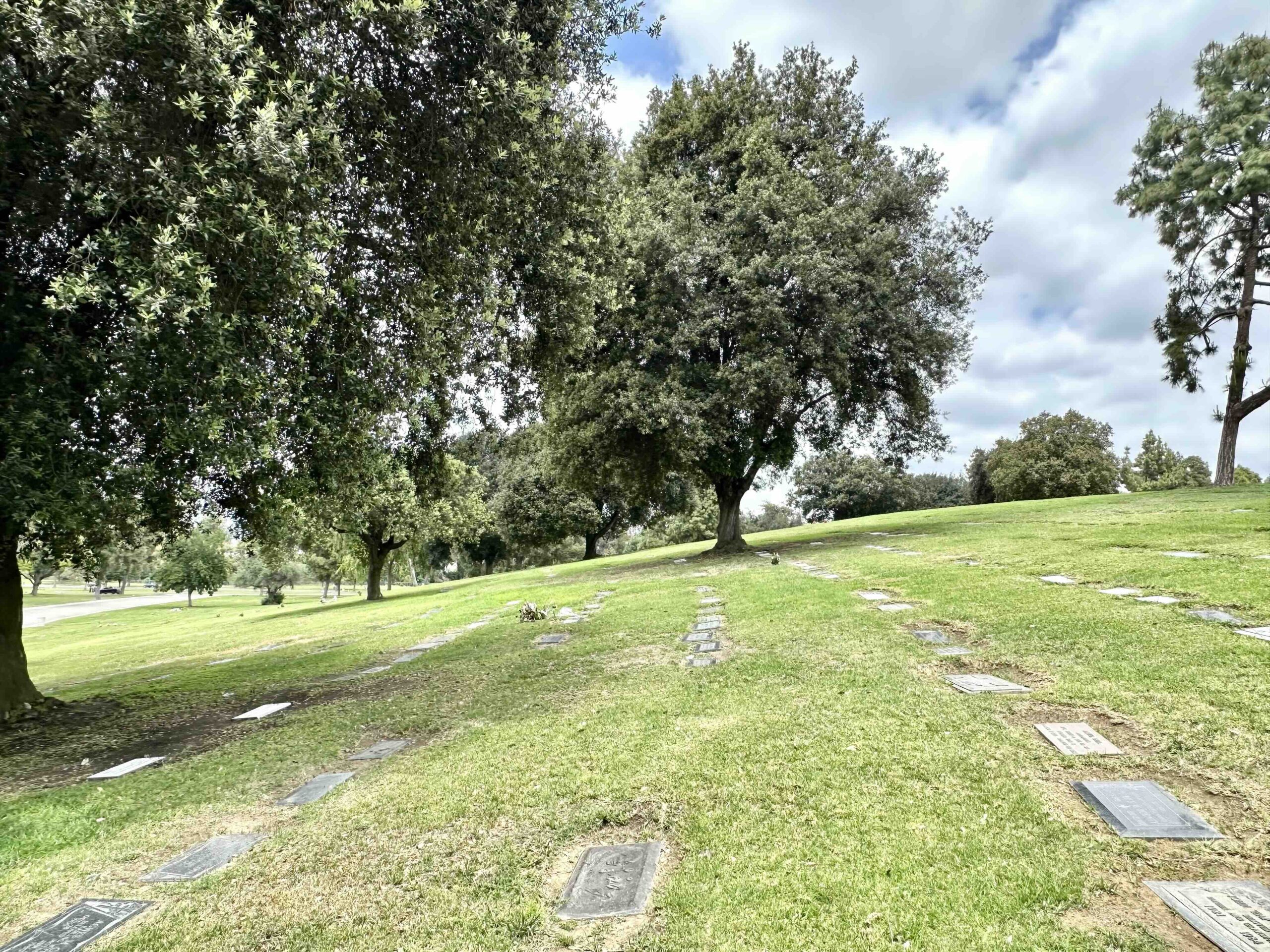 Two grave spaces in Garden of Memories
