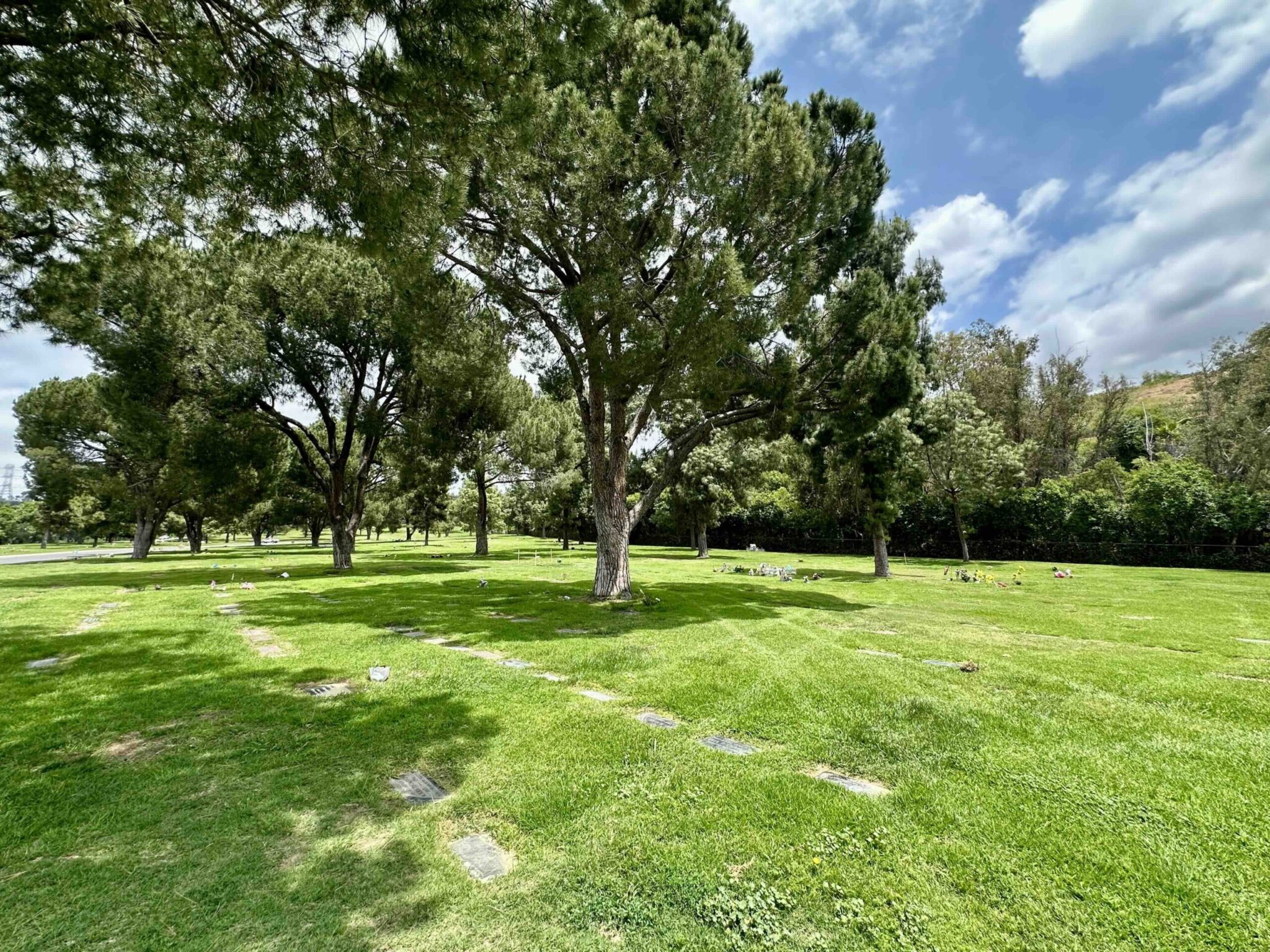 Ultimate Guide to Selling Cemetery Property - Expert Advice