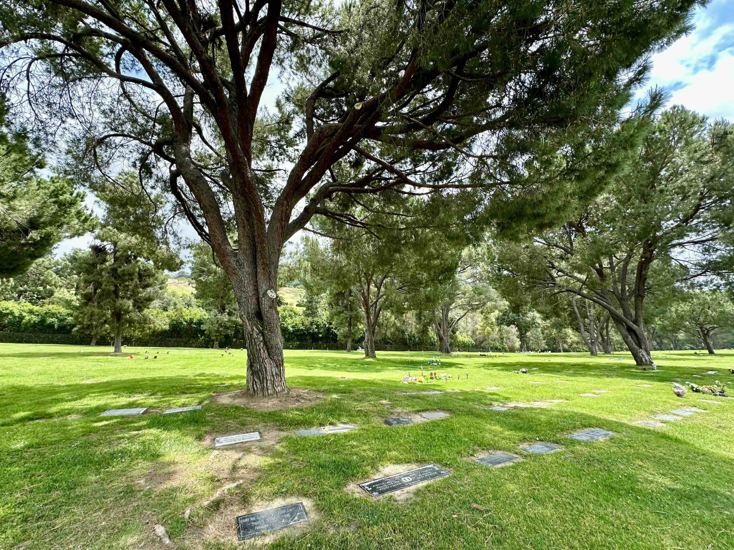 Grave space in Garden of Affection