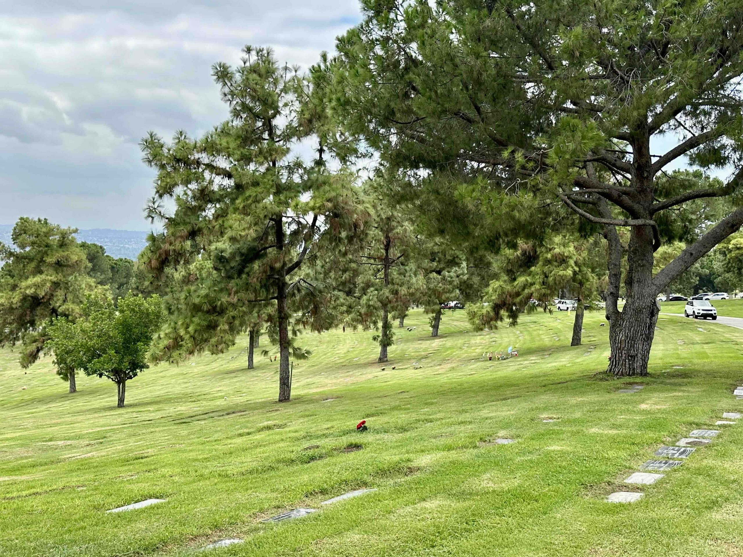 Four grave spaces in Garden of Commemoration
