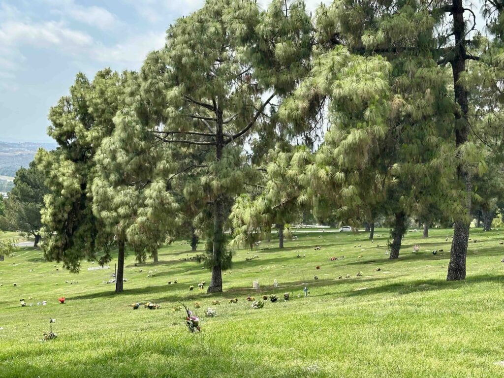 Garden of Commemoration Rose Hills Memorial Park Whittier-Bayer Cemetery Brokers