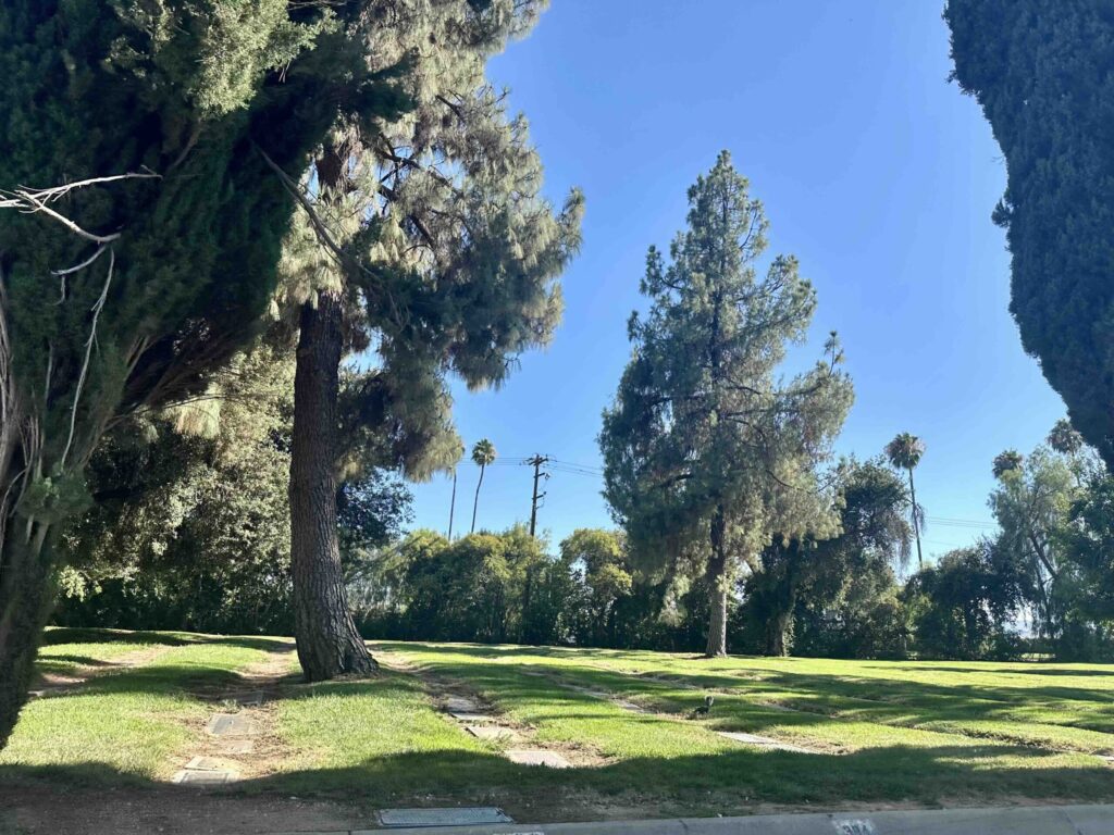 Block 6 Hillside Memorial Park Redlands View Bayer Cemetery Brokers