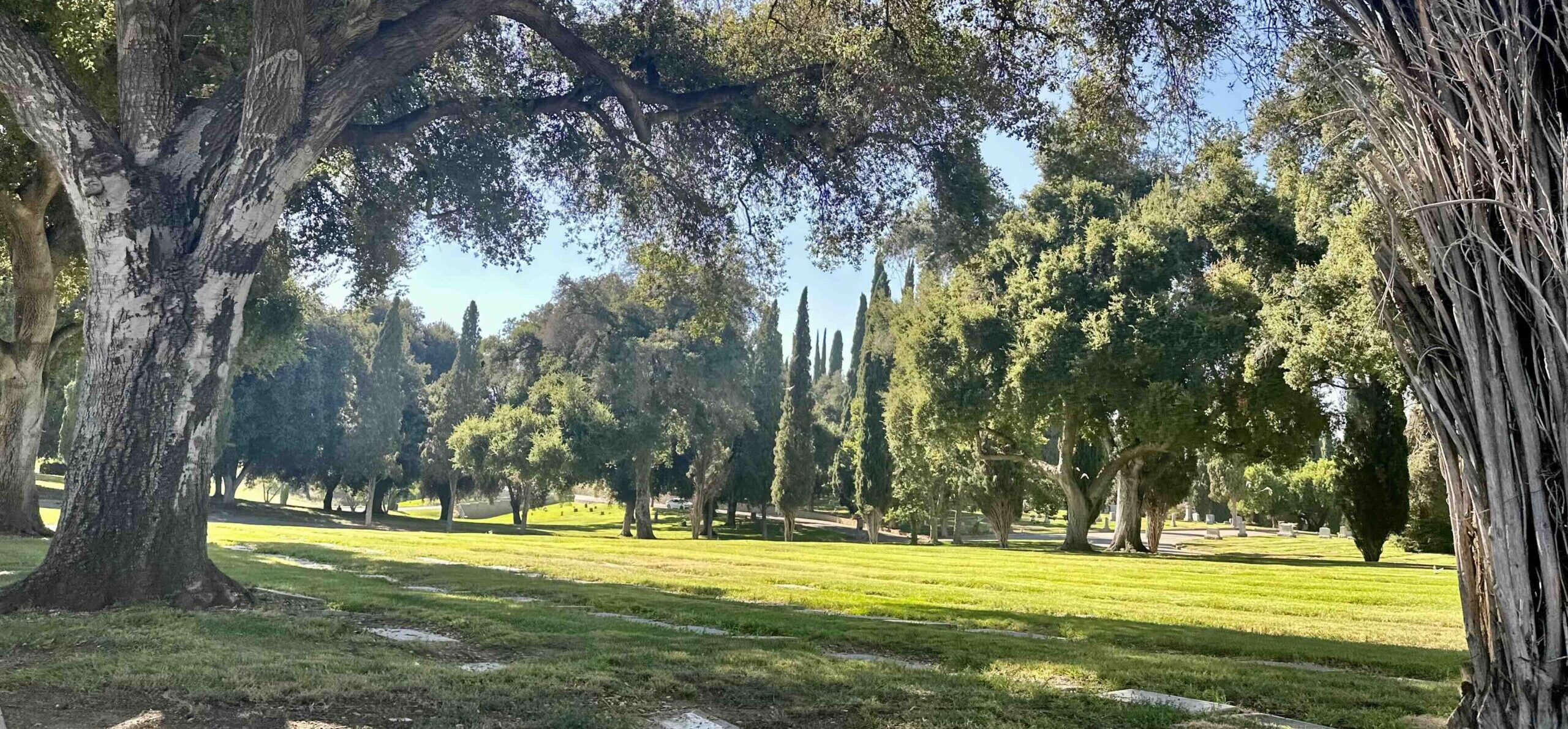 Hillside Memorial Park Redlands View Bayer Cemetery Brokers