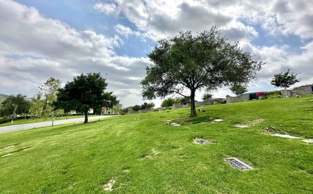 Mission Terrace Rose Hills Memorial Park Whittier-Bayer Cemetery Brokers