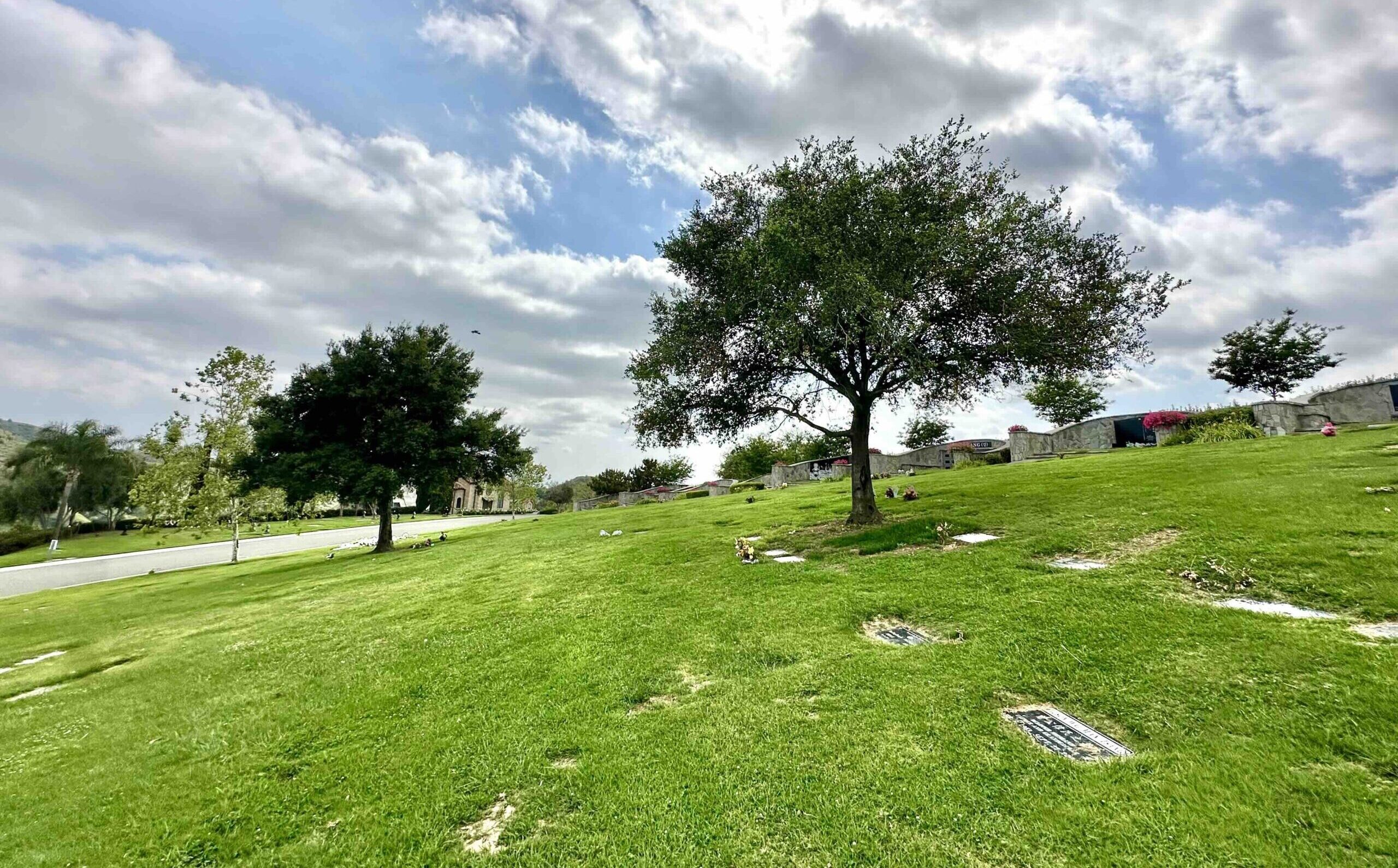 Two grave spaces in Mission Terrace