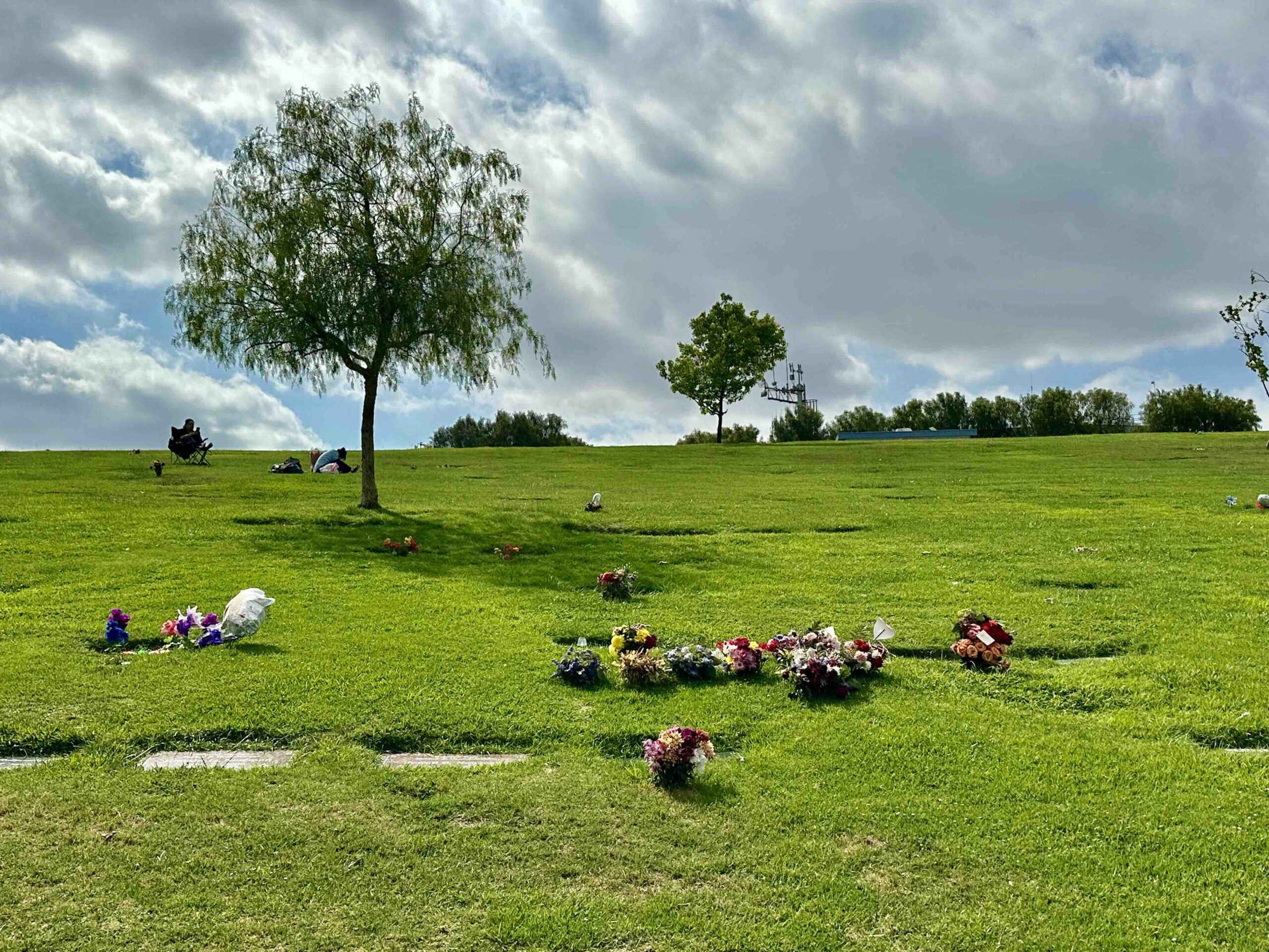 Grave space in Monte Vista Terrace