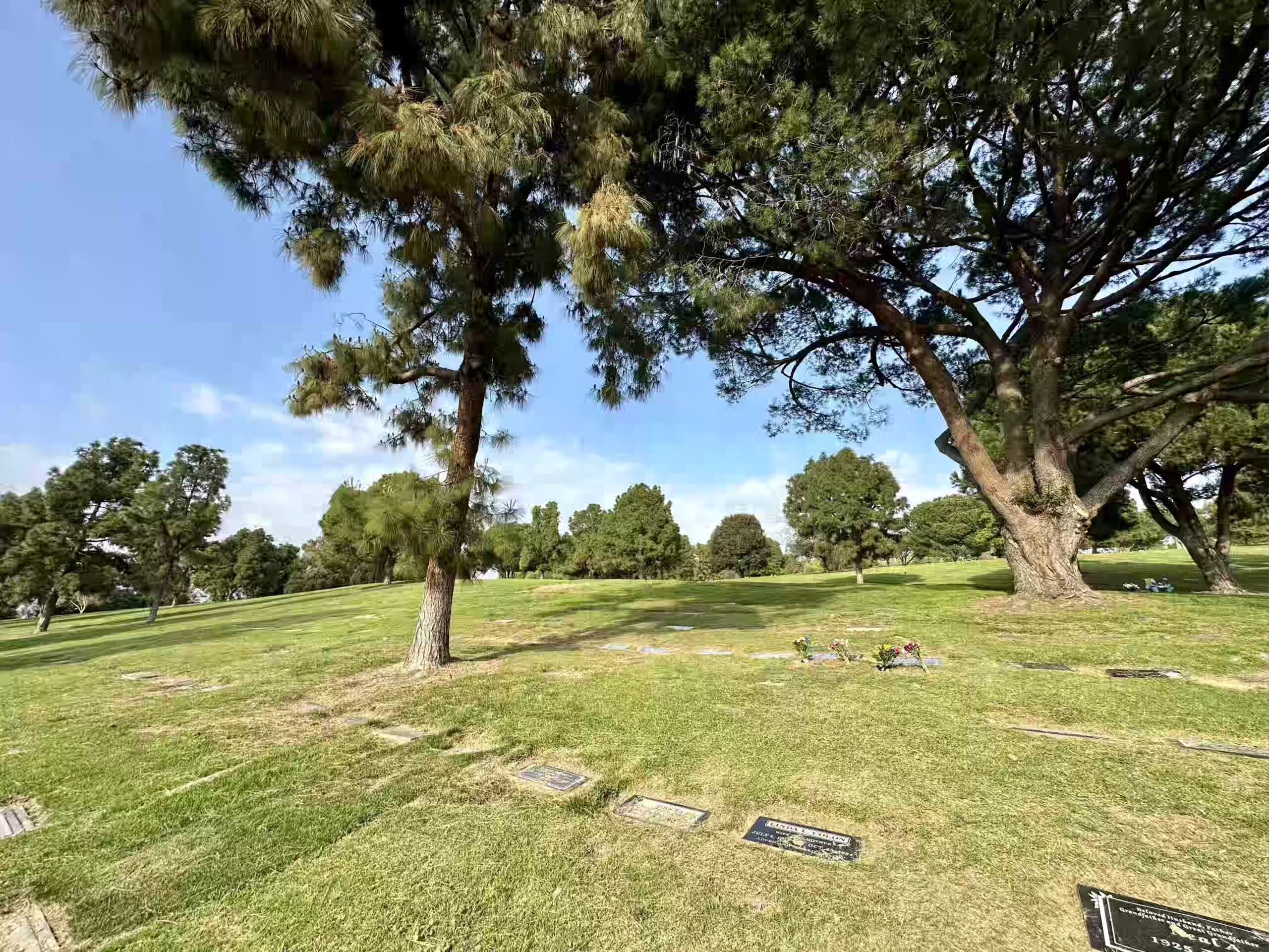 Grave space in Primrose Lawn