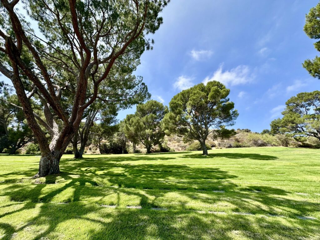 Revelation Forest Lawn Memorial Park Hollywood Hills-Bayer Cemetery Brokers
