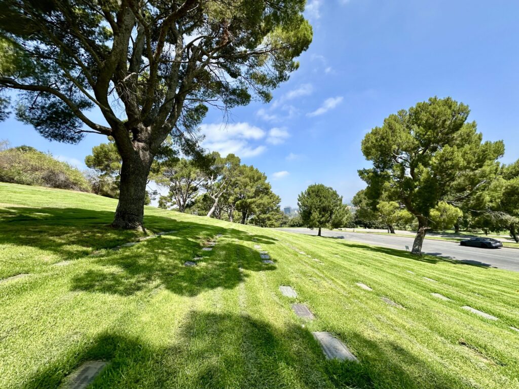 Revelation Forest Lawn Memorial Park Hollywood Hills-Bayer Cemetery Brokers