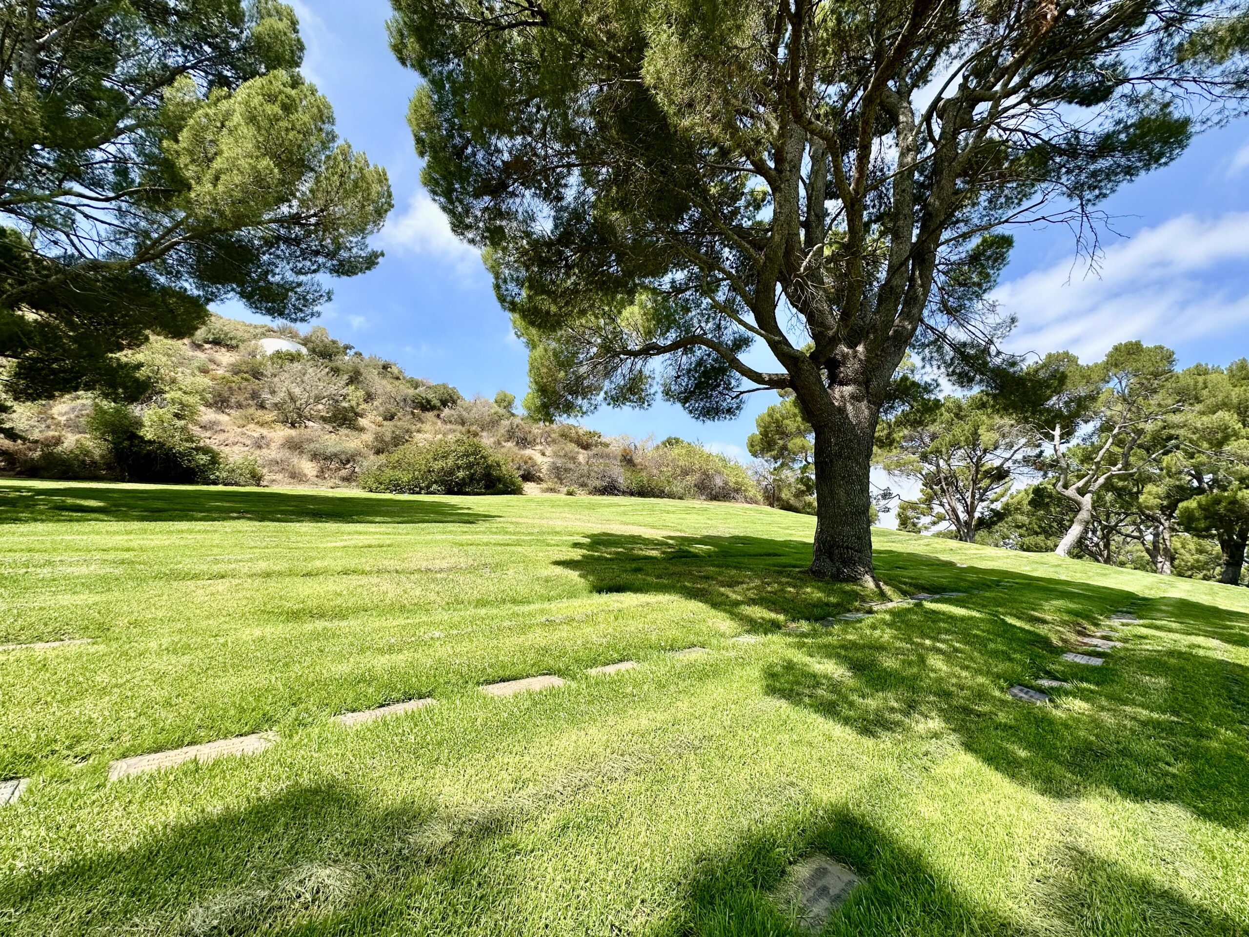 Grave space in Revelation