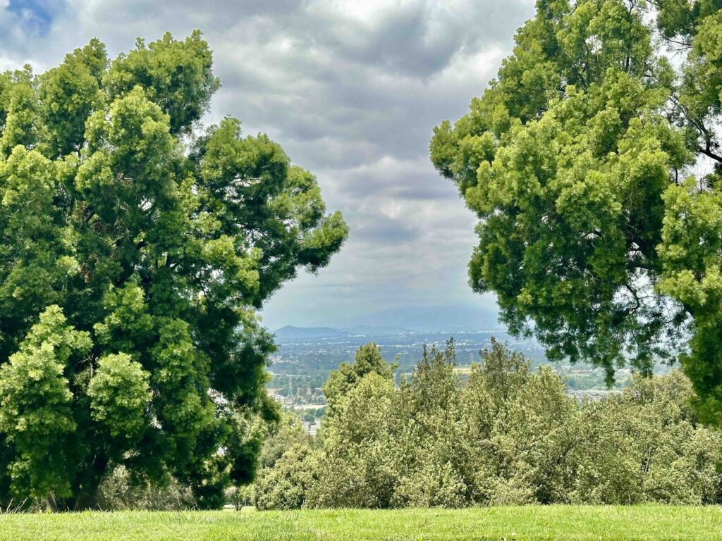 View from Suncrest Rose Hills Memorial Whittier-Bayer Cemetery Brokers