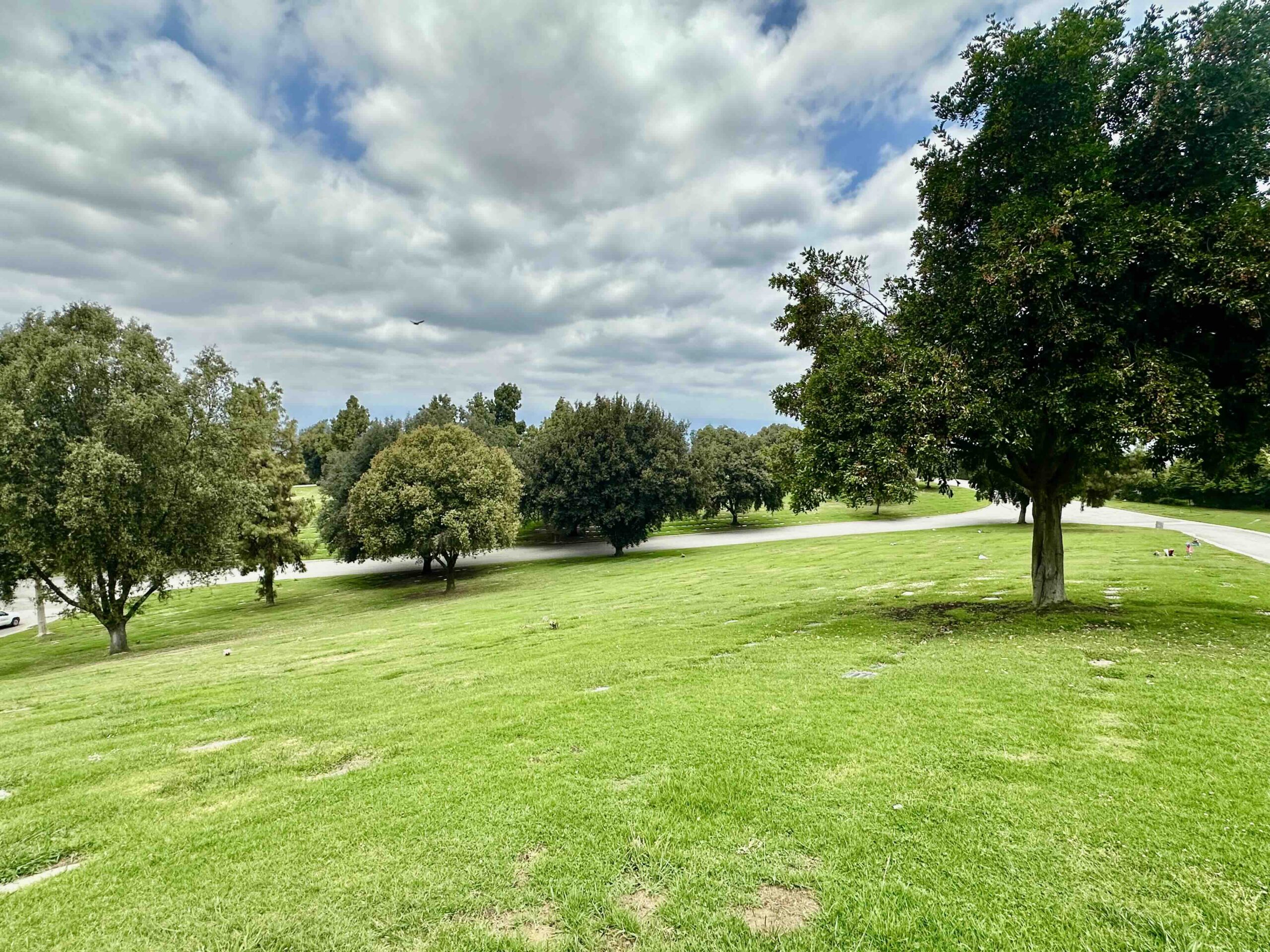 Grave space in Suncrest