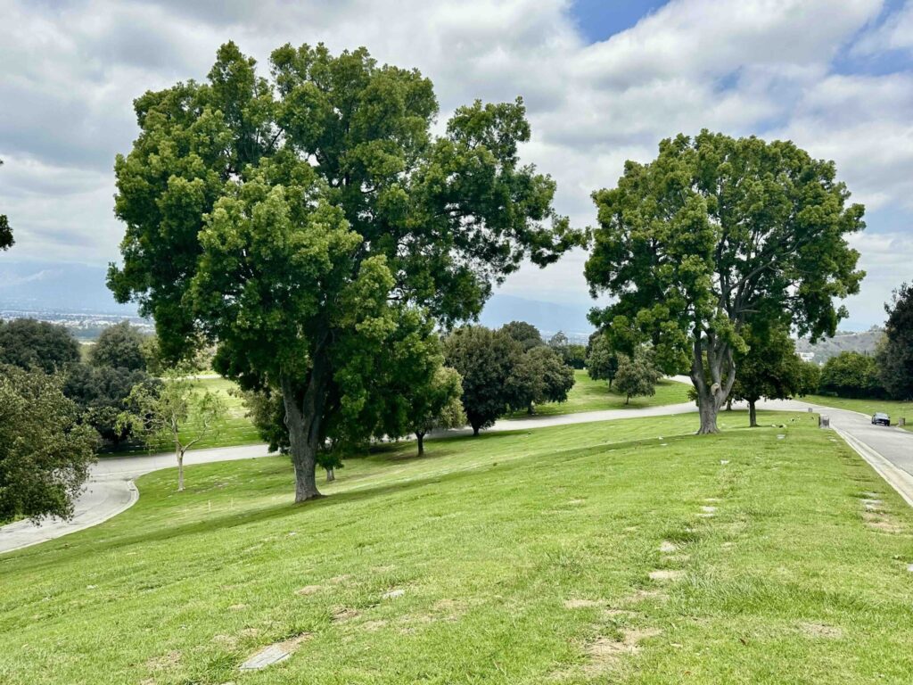 Suncrest Rose Hills Memorial Whittier-Bayer Cemetery Brokers