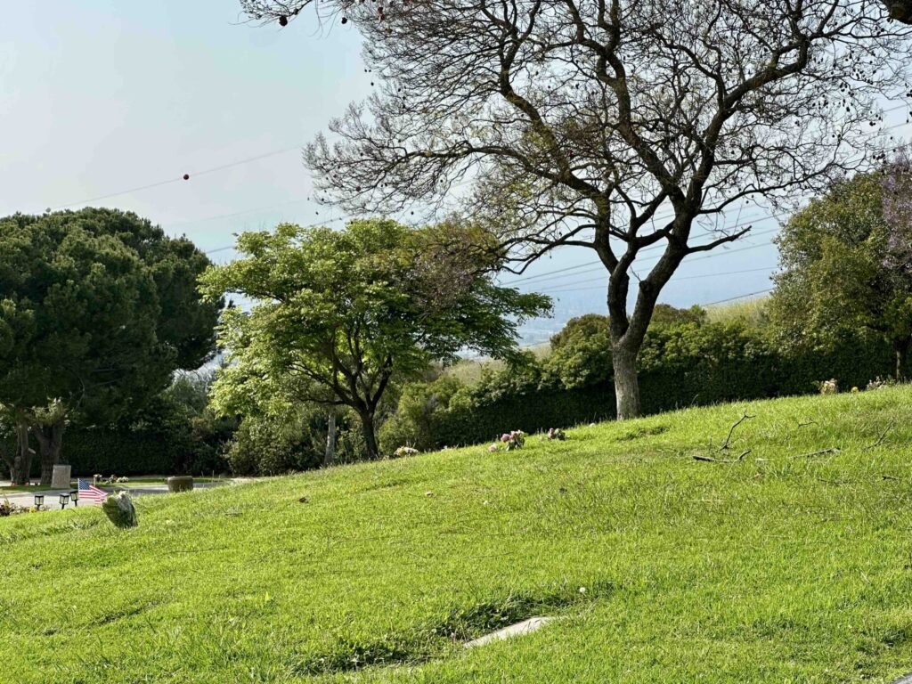 Trinity Lawn Rose Hills Memorial Park Whittier-Bayer Cemetery Brokers
