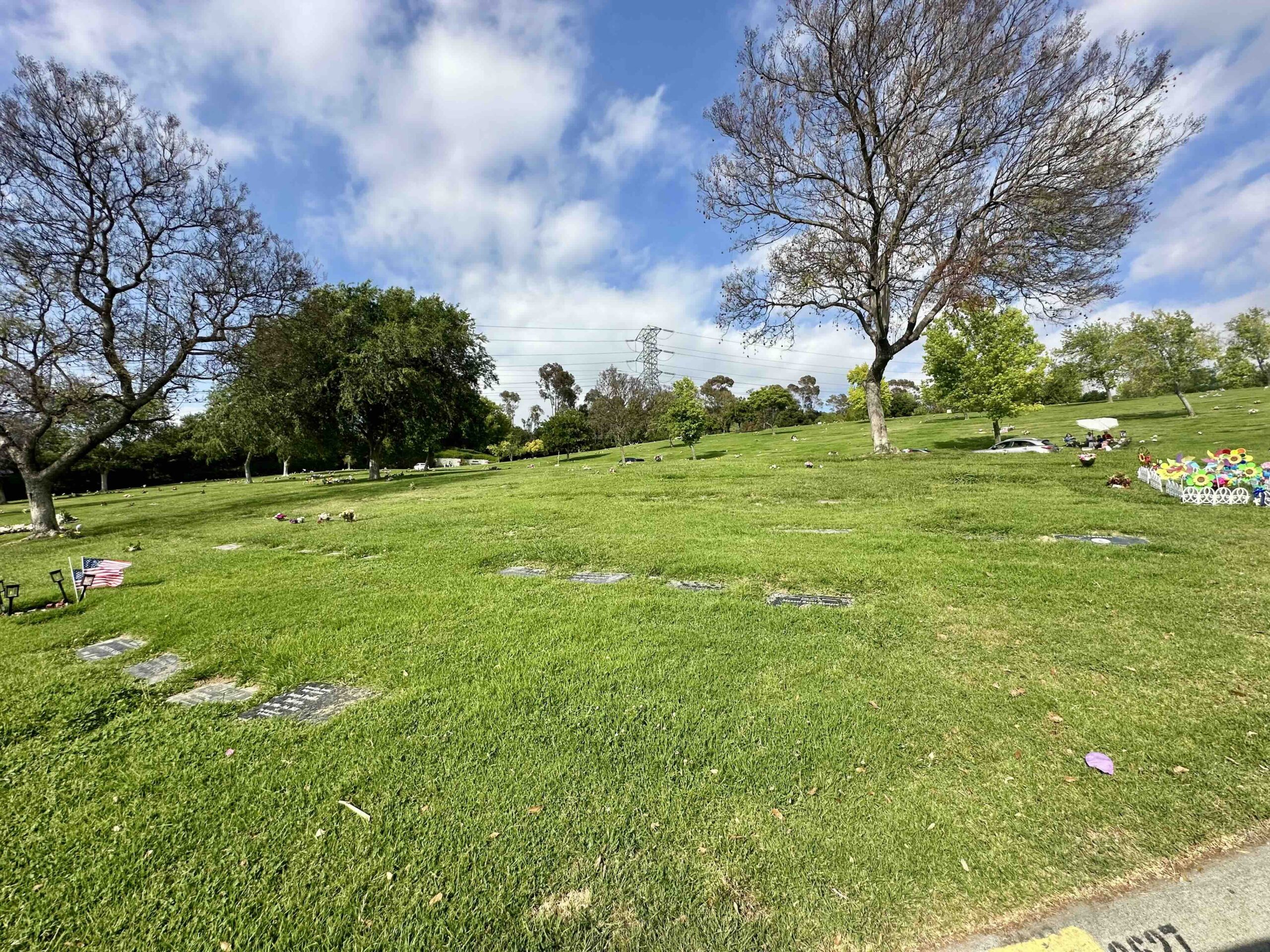 Three grave spaces in Trinity