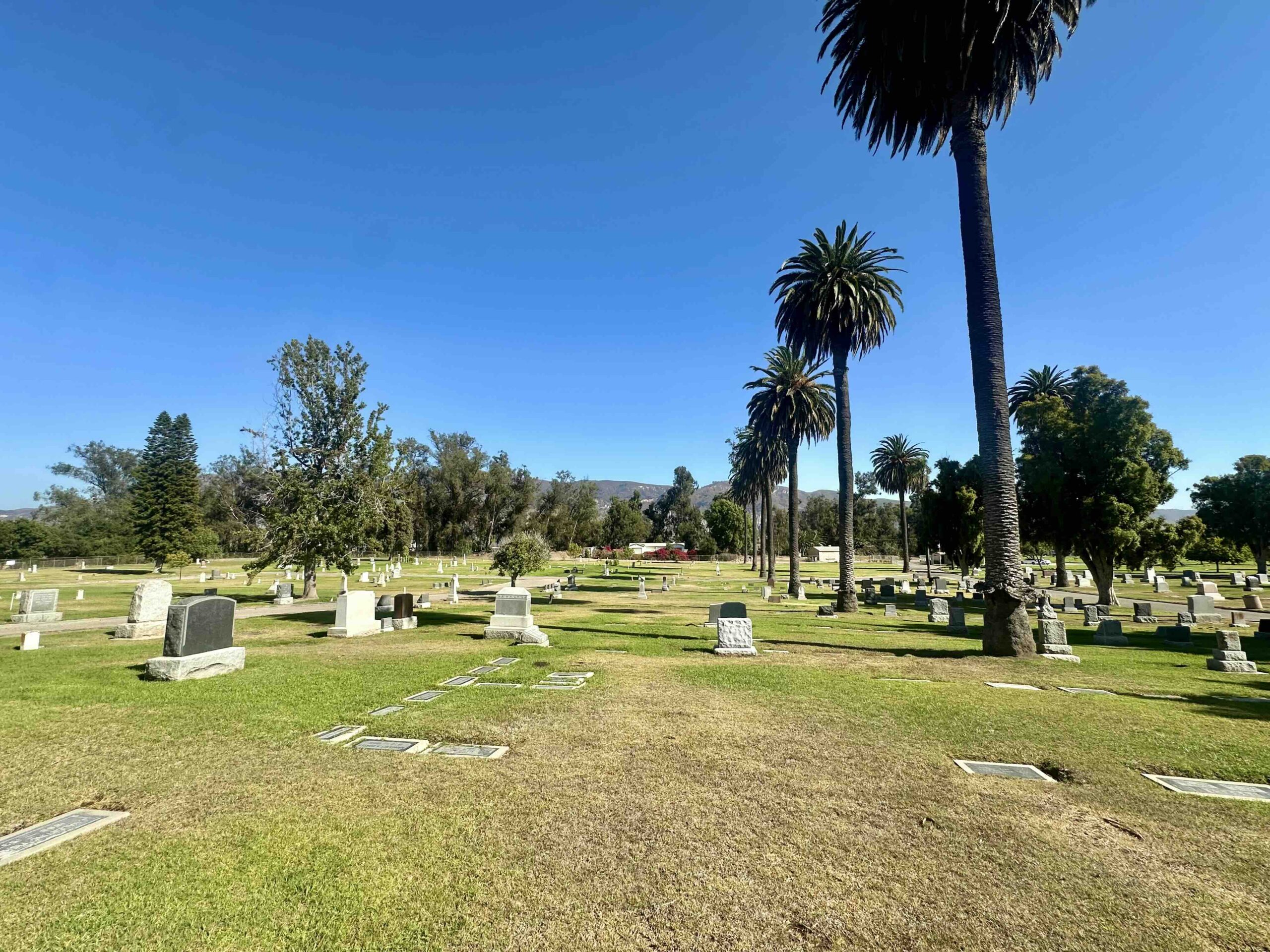 Grave space in Section E