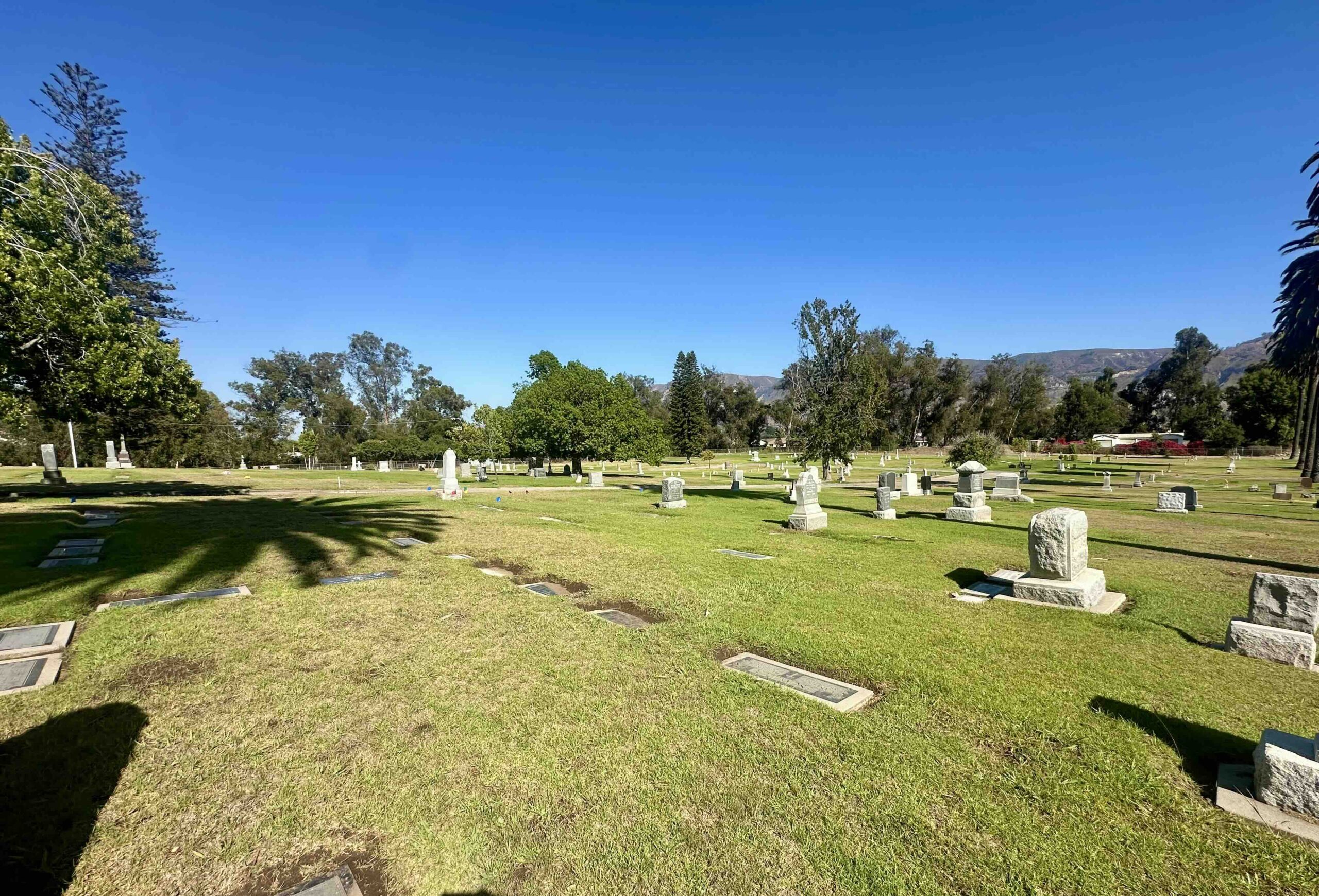Three grave spaces in Section E