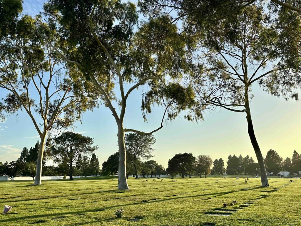 Bayer-Cemetery-Brokers-Forest-Lawn-Cypress-View-across-Eternal-Peace-Towards-Church-of-our-Fathers-at-Sunset
