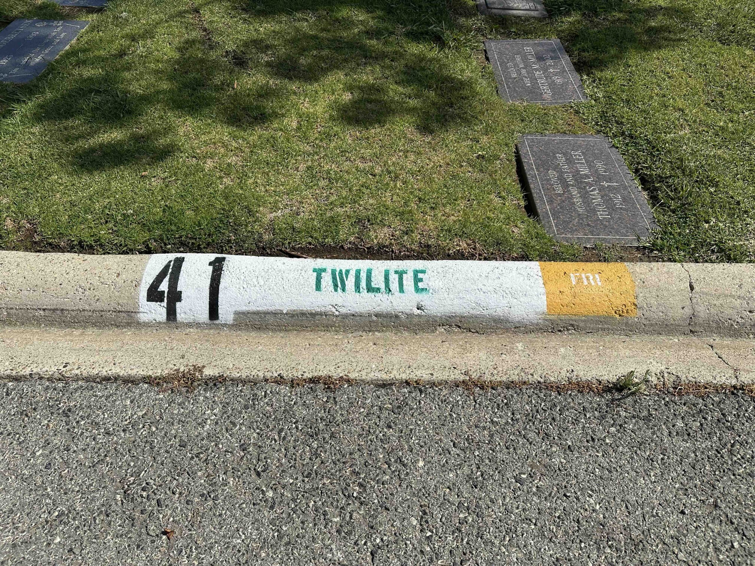 Two grave spaces in Twilite Terrace