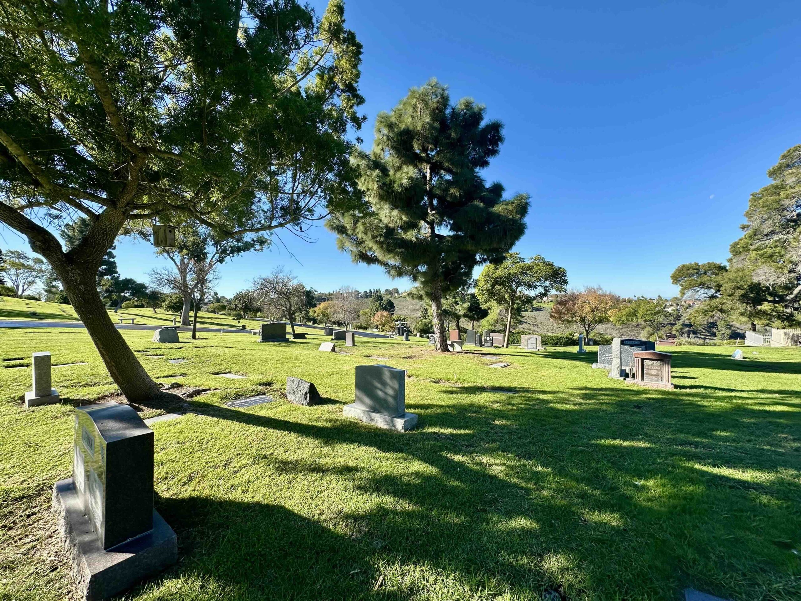 Four grave spaces in Adoration