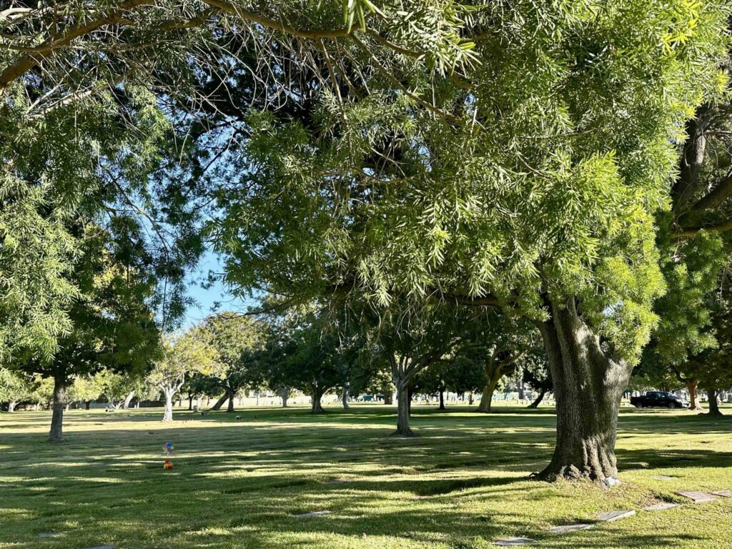 Fairhaven Memorial Park Cemetery Lawn H-Bayer Cemetery Brokers