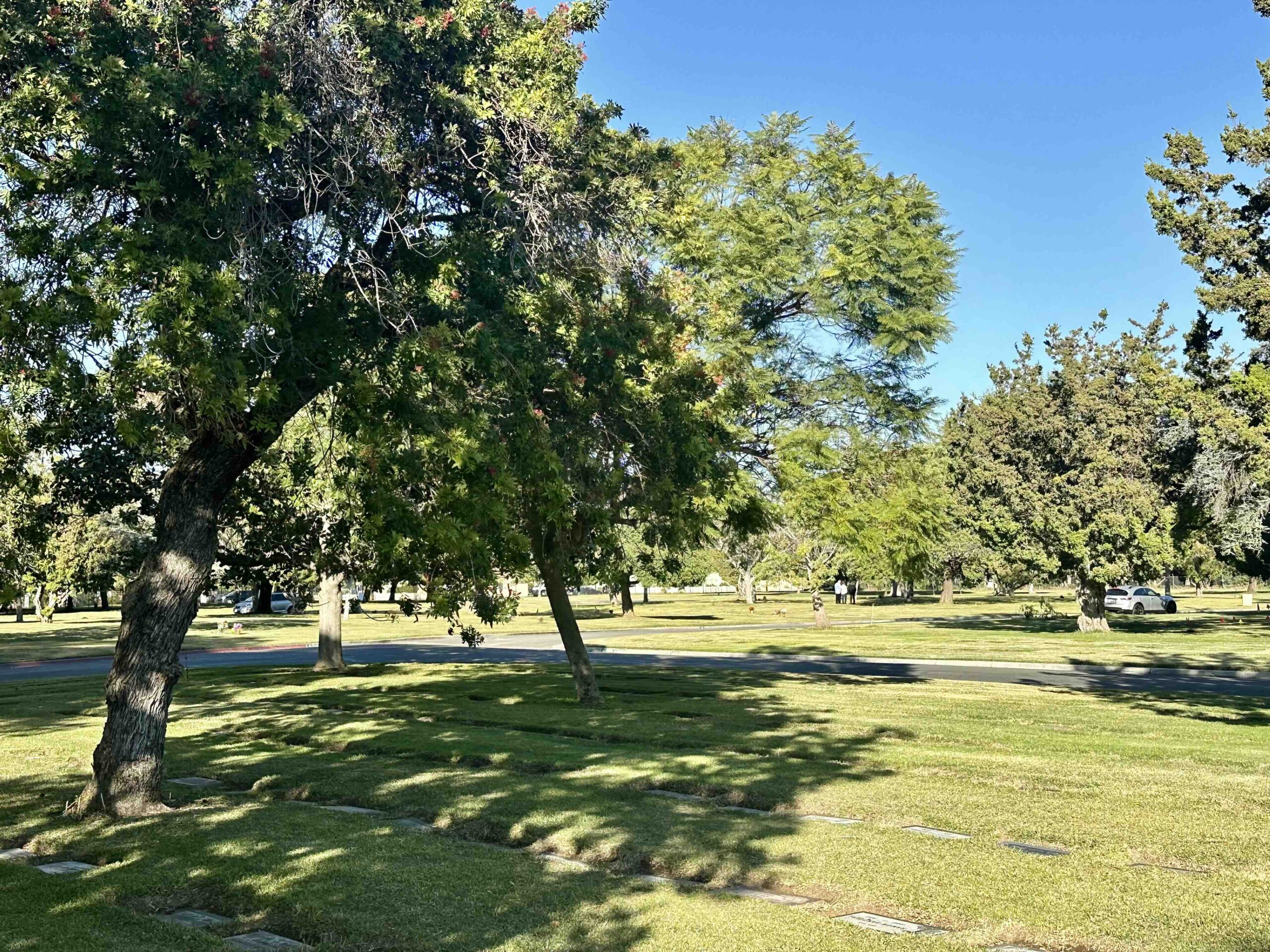 Grave space in Lawn K